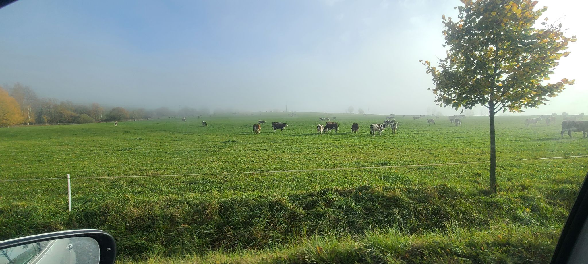 2022 10 28 14.31.51 samsung s20