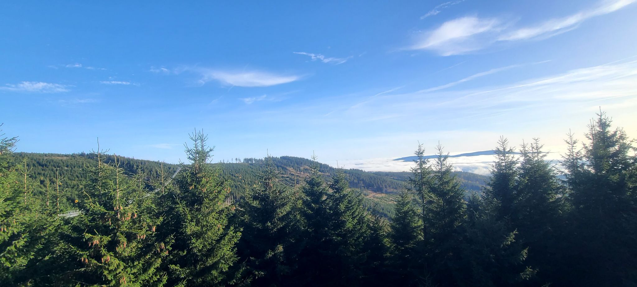 2022 10 28 15.31.31 samsung s20