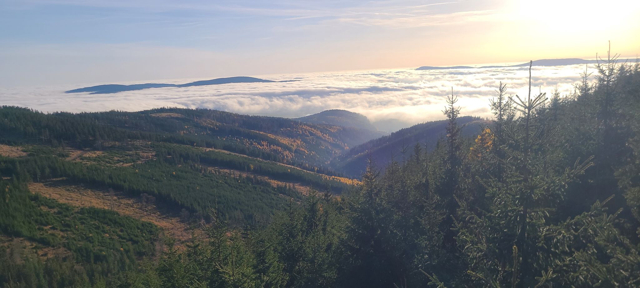 2022 10 28 15.44.38 samsung s20