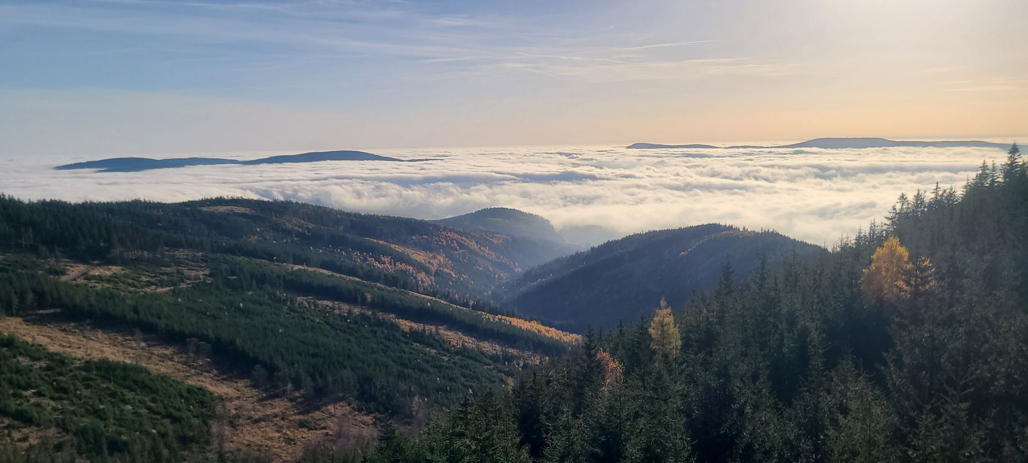 2022 10 28 15.44.58 samsung s20