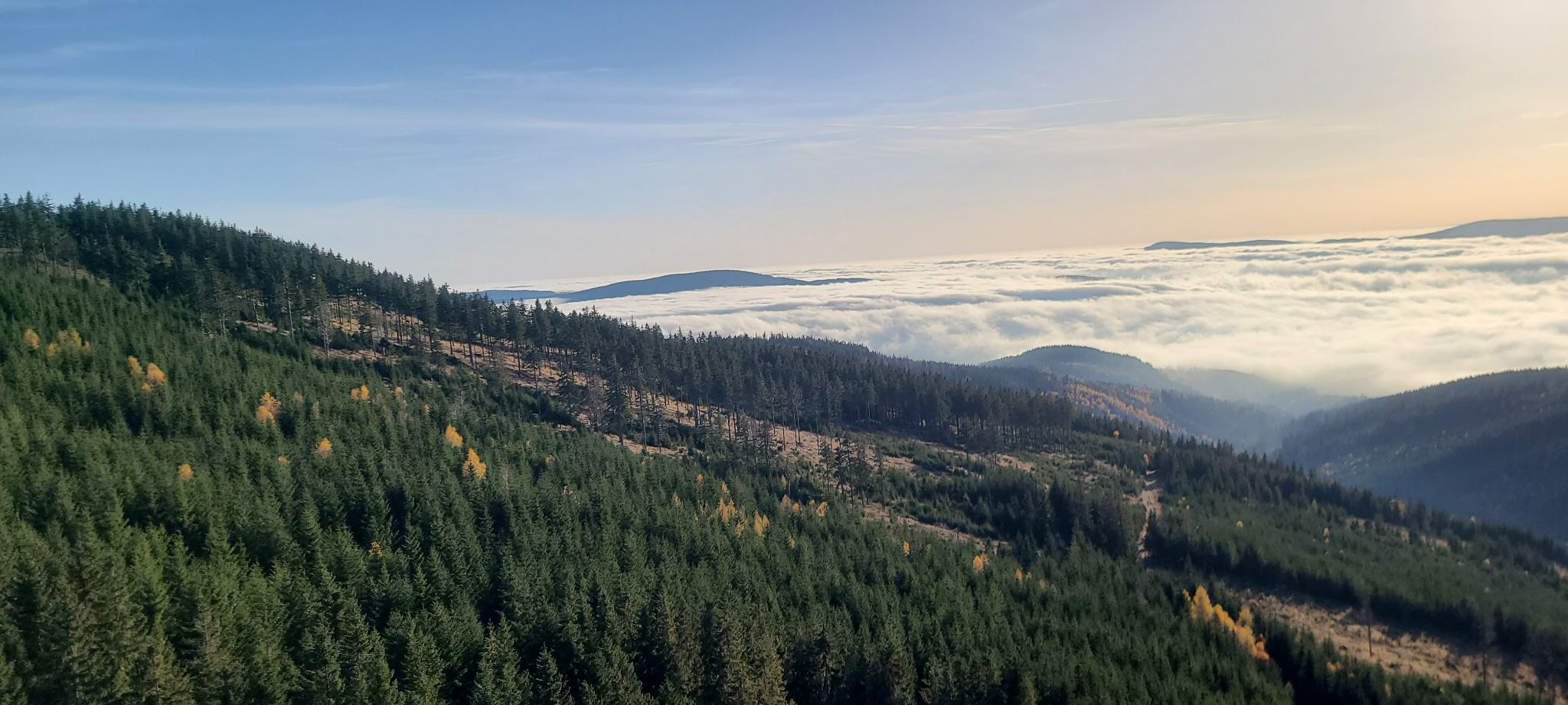 2022 10 28 15.53.01 samsung s20