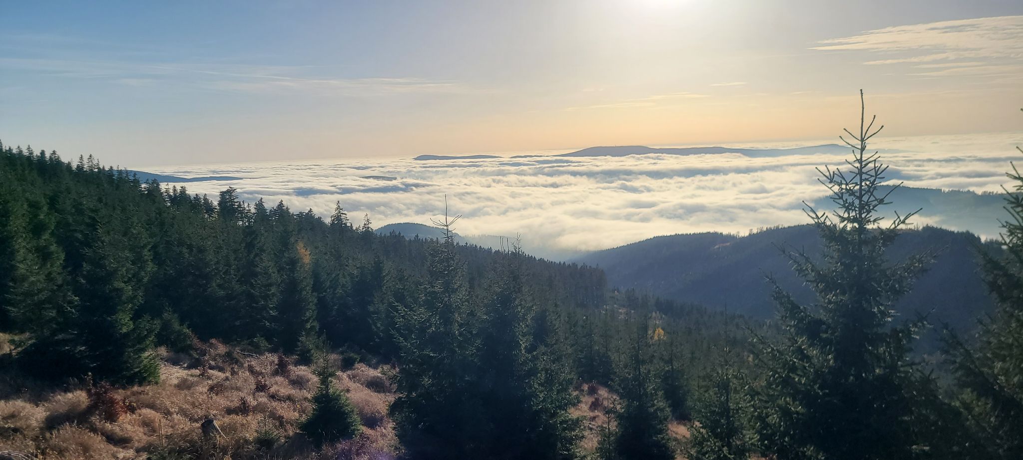 2022 10 28 15.56.29 samsung s20