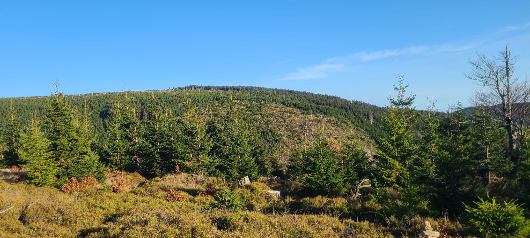 2022 10 28 16.00.56 samsung s20