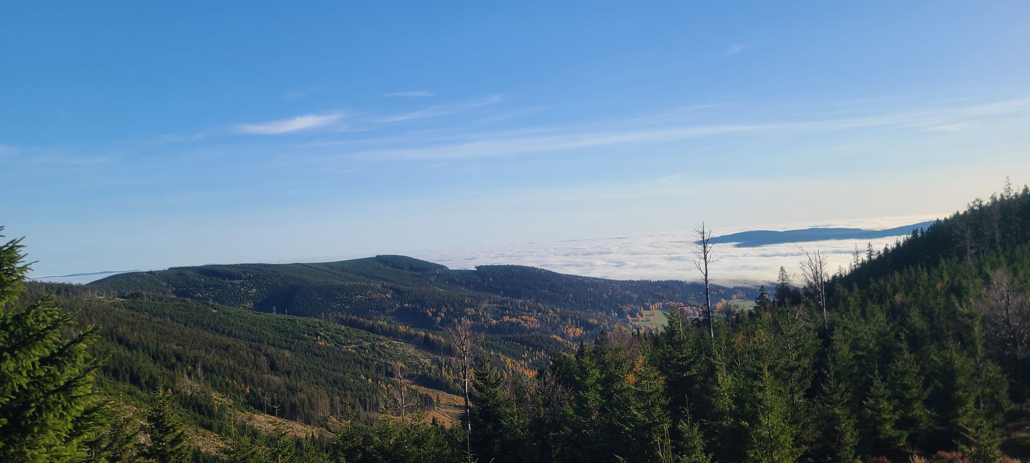 2022 10 28 16.02.22 samsung s20