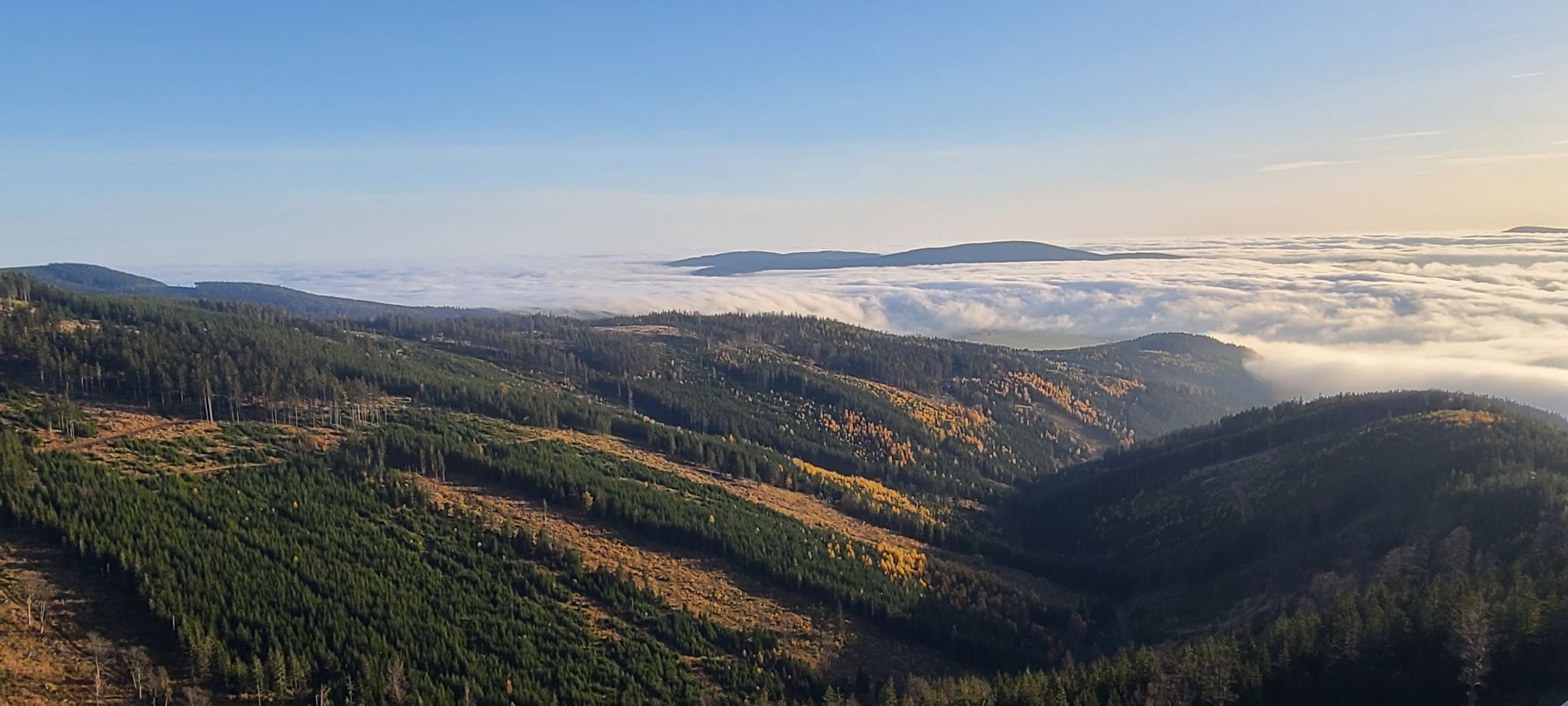 2022 10 28 16.34.34 samsung s20