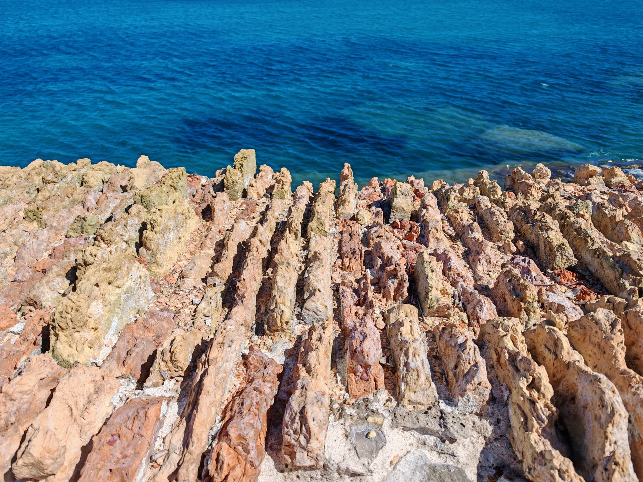 2024 05 17 16.12.47 honor m6p