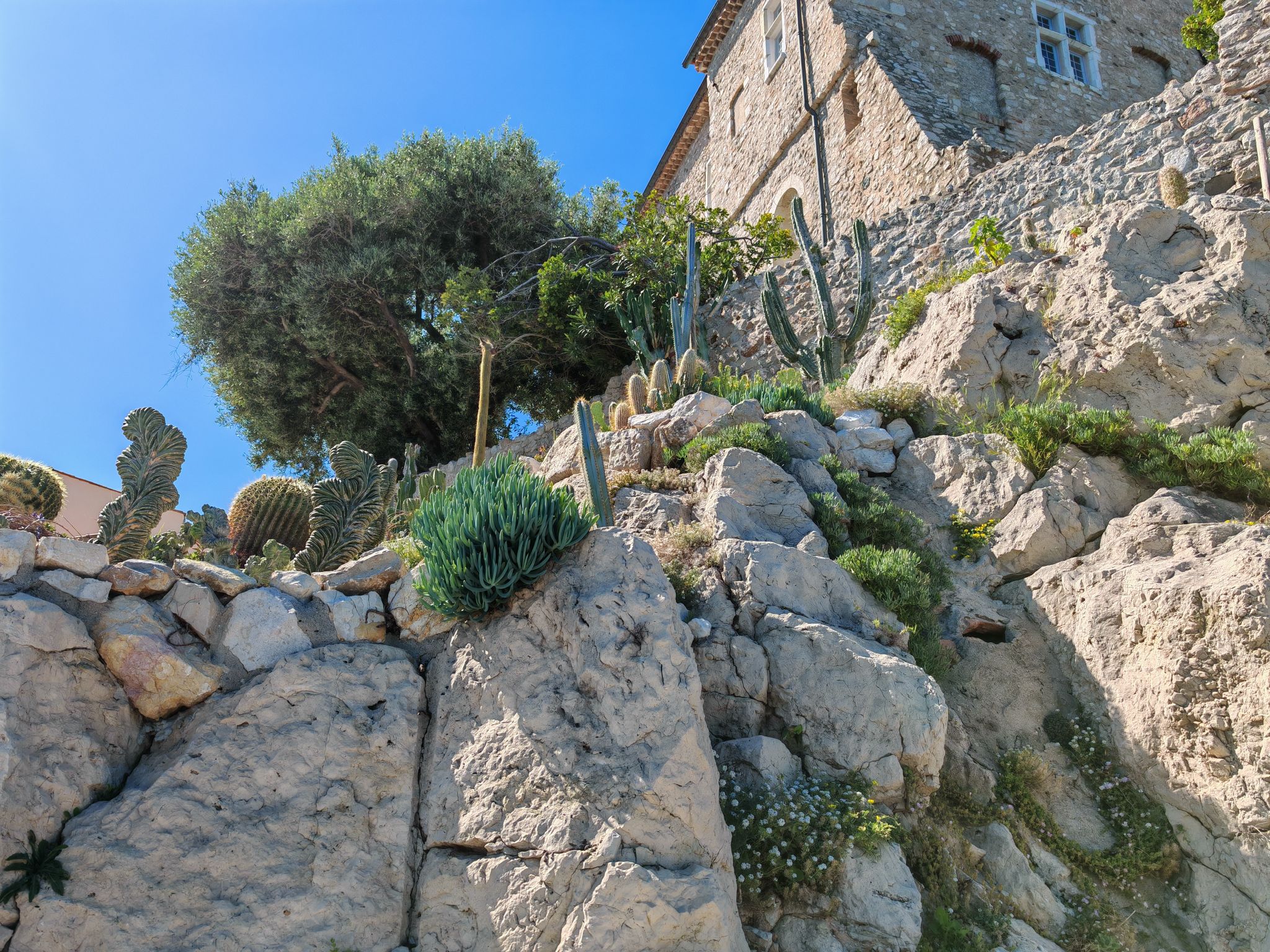 2024 05 17 16.20.50 honor m6p