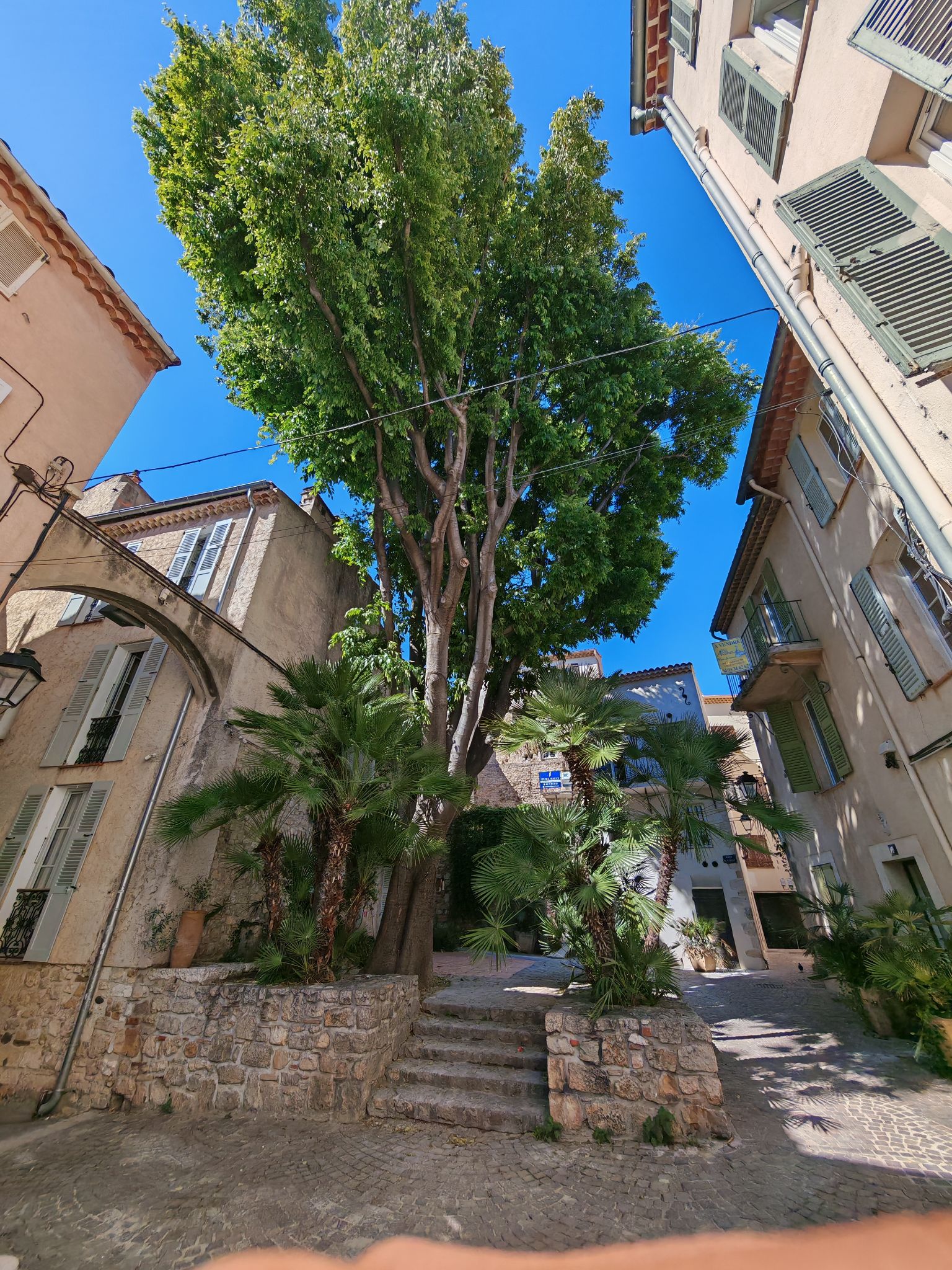 2024 05 17 16.26.29 honor m6p