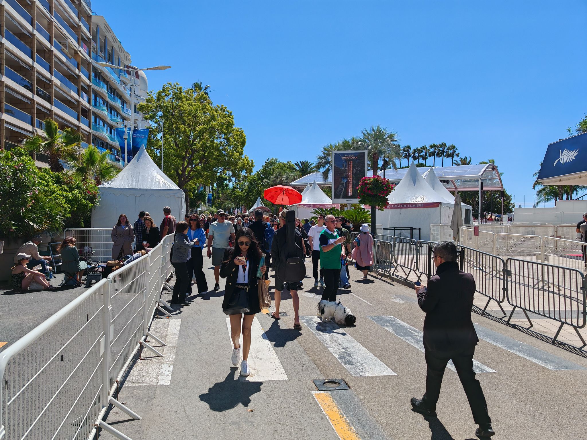 2024 05 17 11.41.13 honor m6p