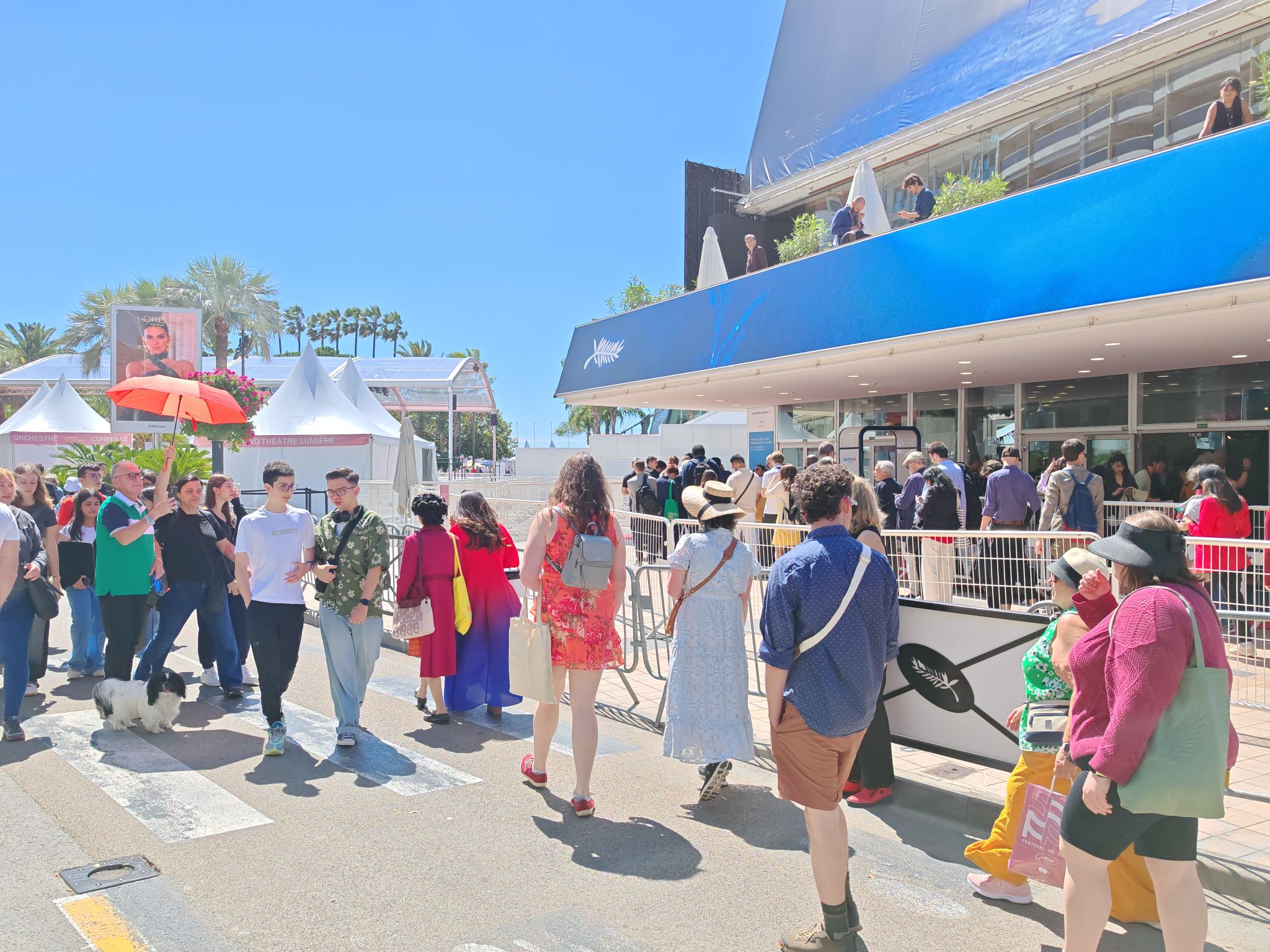 2024 05 17 11.41.18 honor m6p