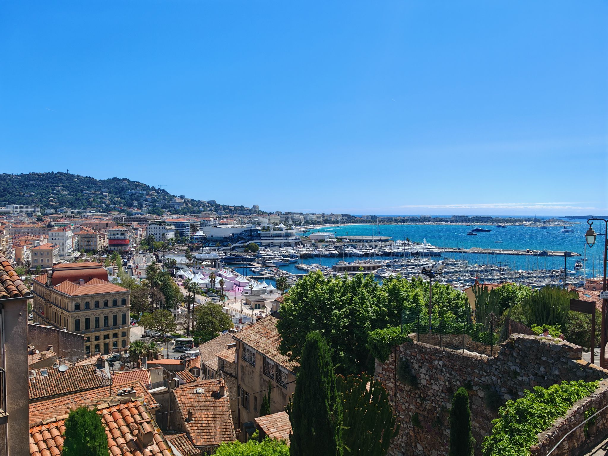 2024 05 17 12.21.26 honor m6p