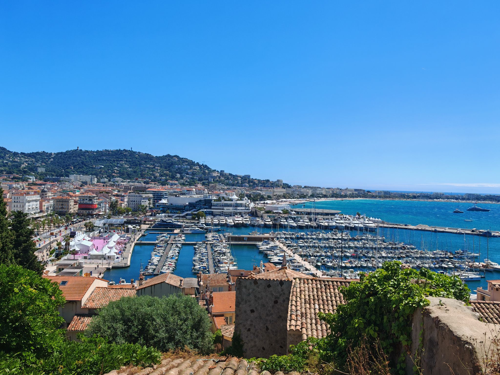 2024 05 17 12.25.11 honor m6p