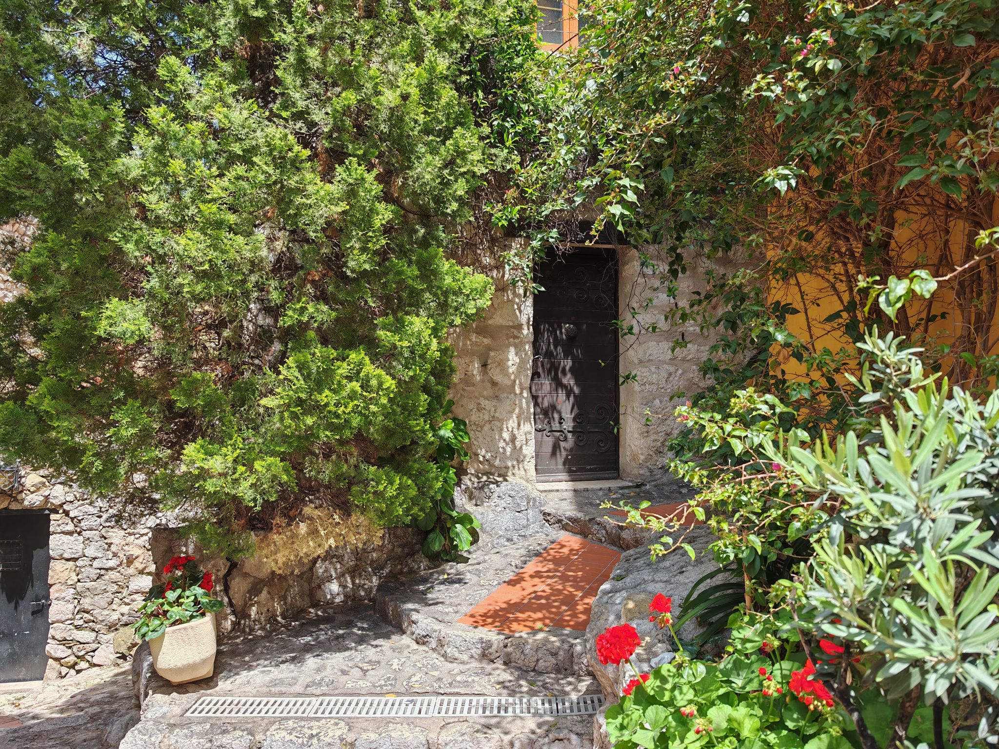 2024 05 19 13.08.54 honor m6p