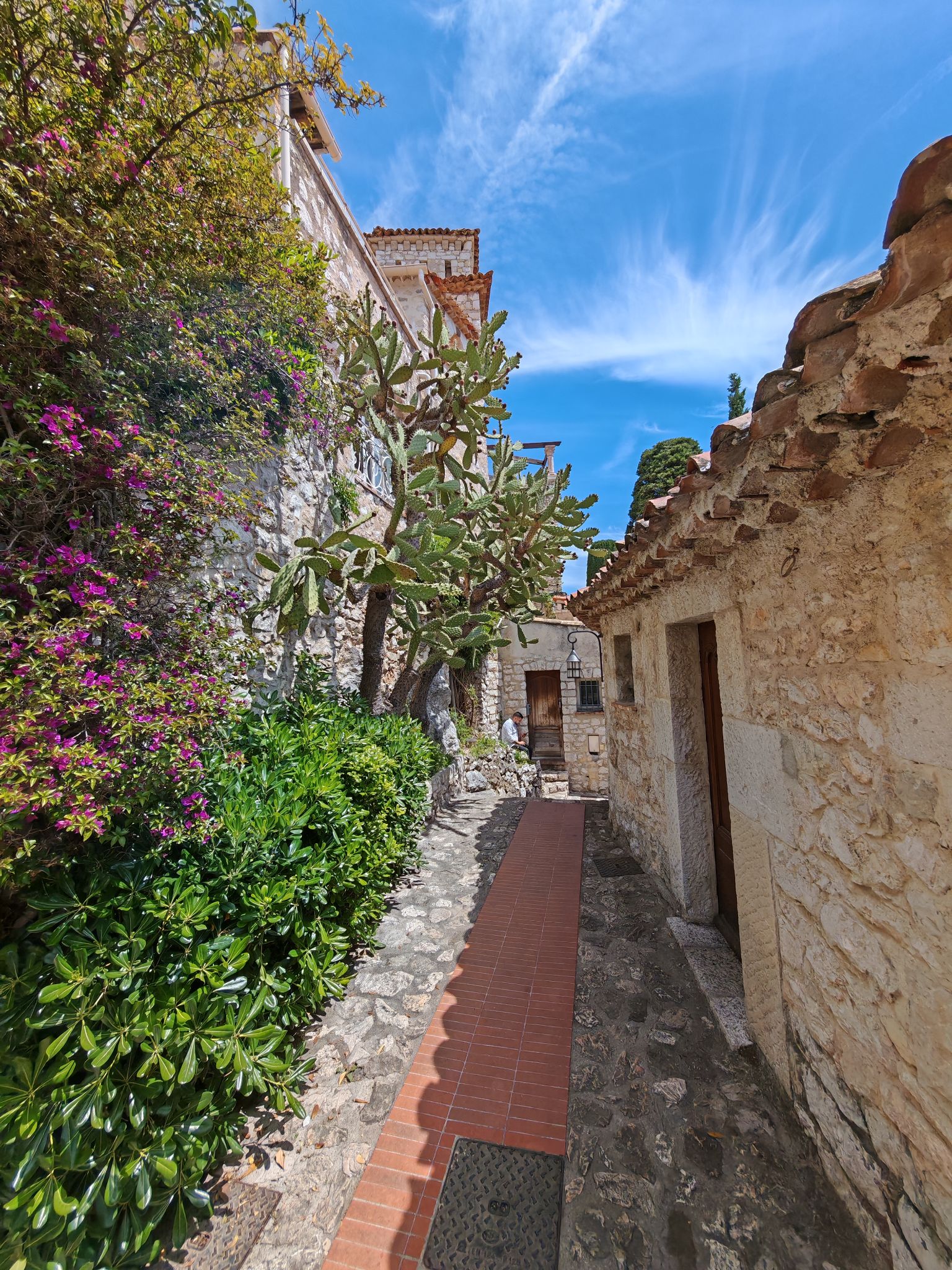 2024 05 19 13.15.09 honor m6p