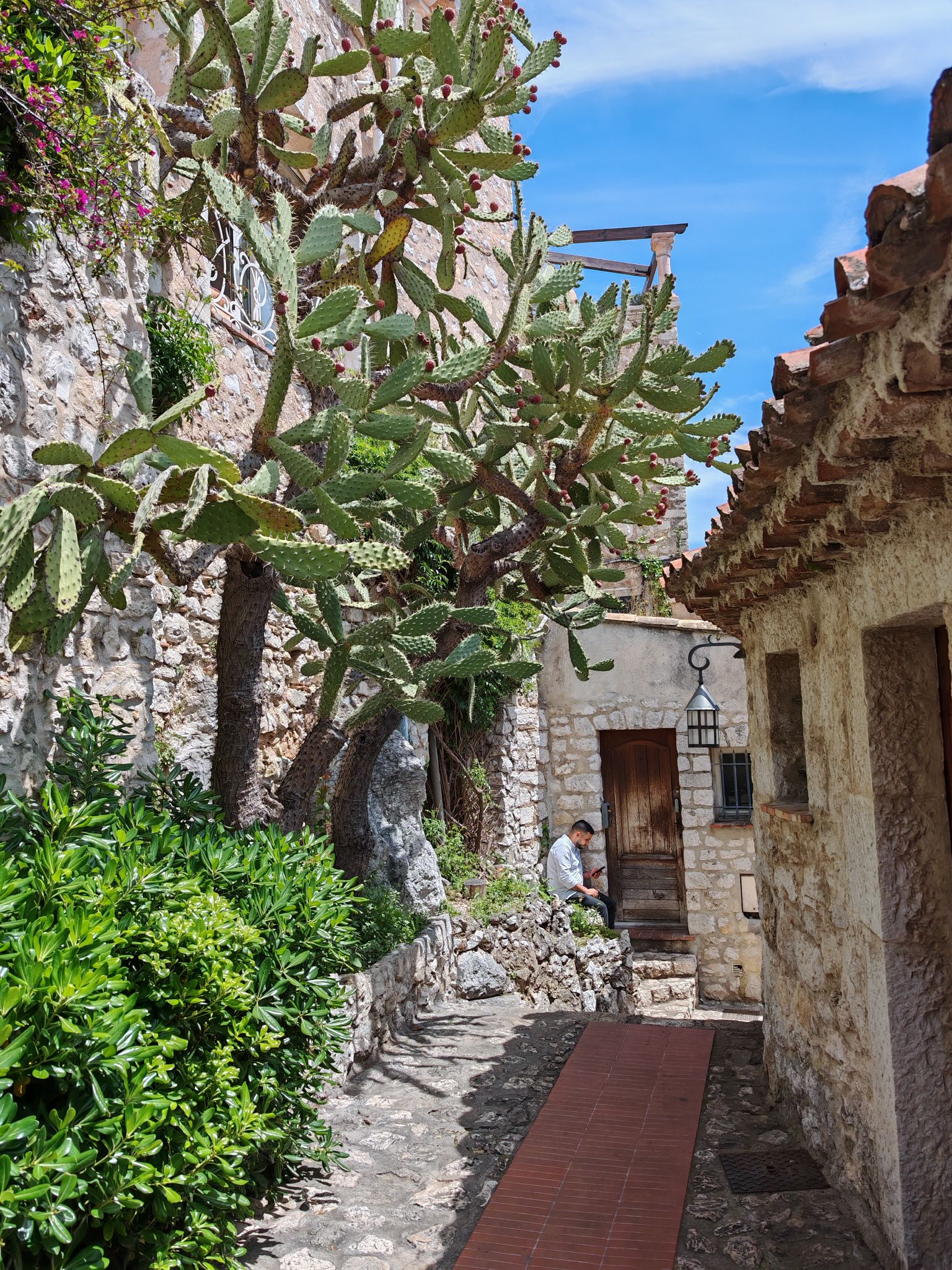 2024 05 19 13.15.12 honor m6p