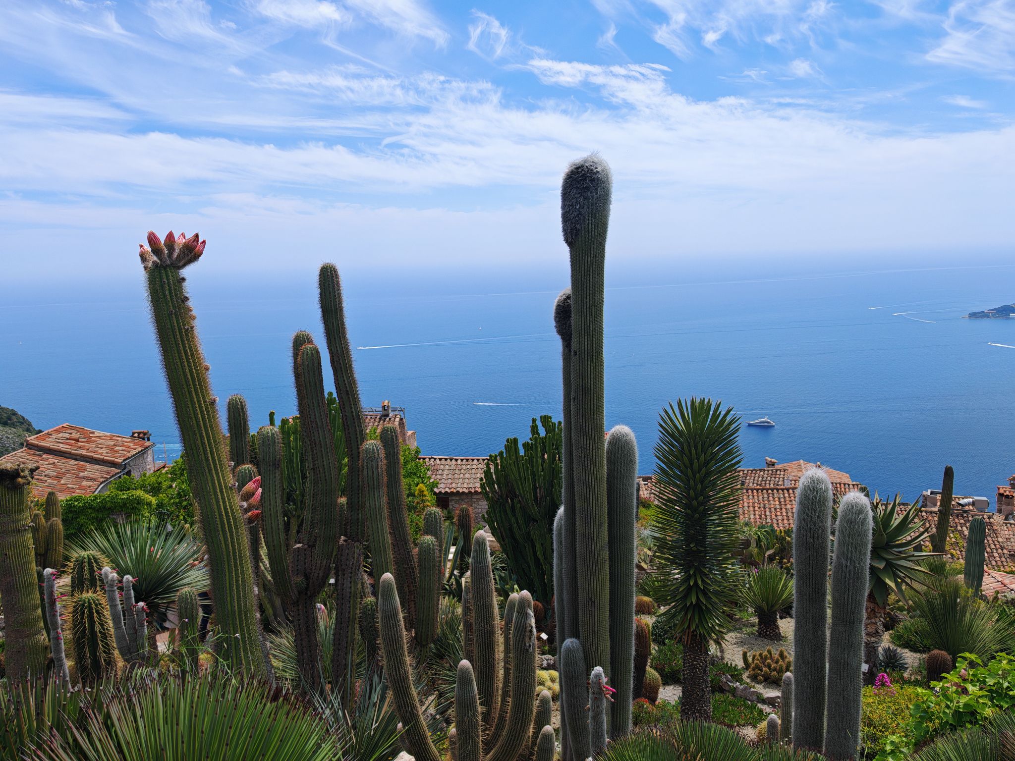 2024 05 19 13.32.20 honor m6p