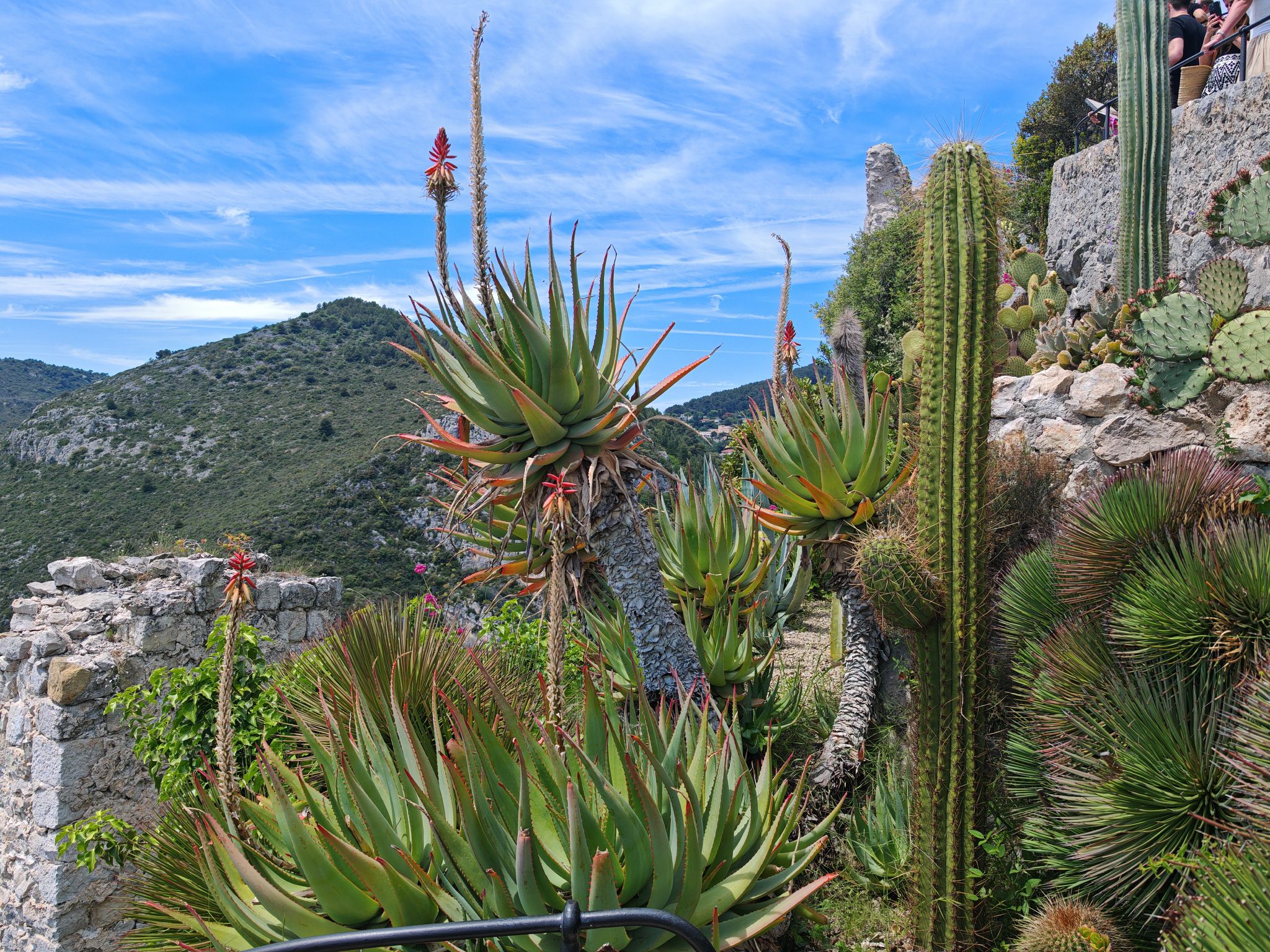 2024 05 19 13.32.26 honor m6p