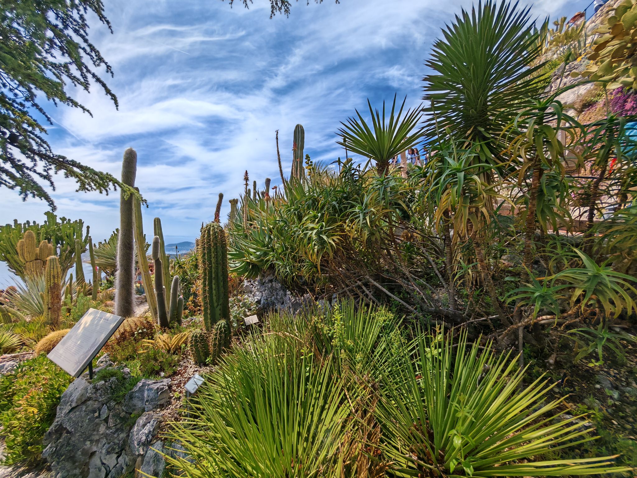 2024 05 19 13.39.13 honor m6p