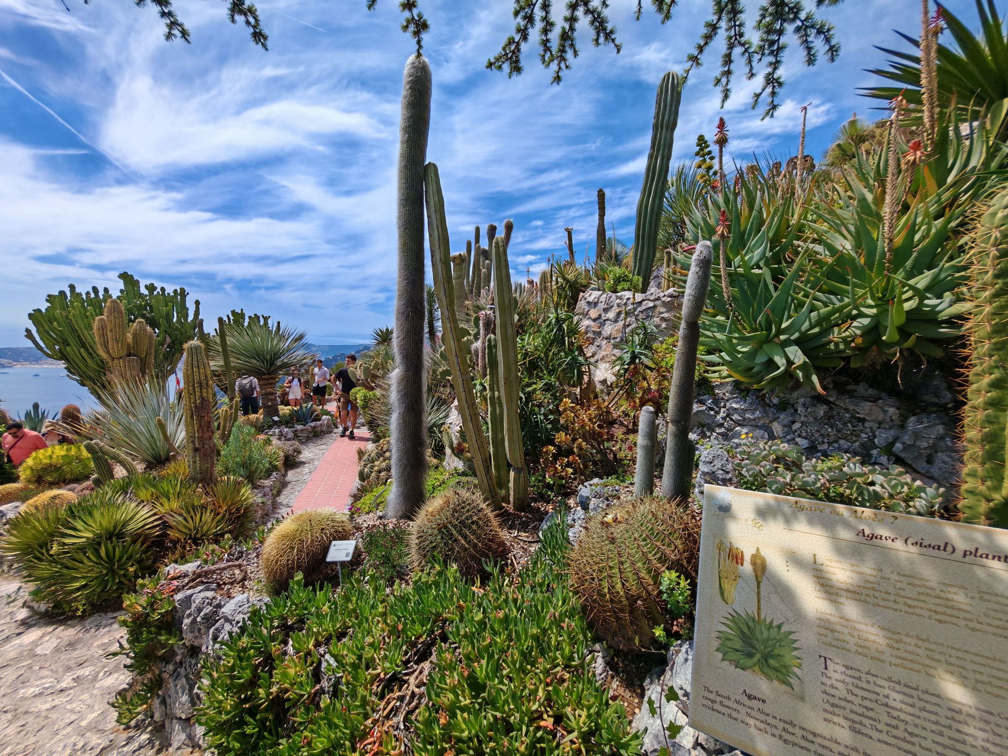 2024 05 19 13.39.16 honor m6p