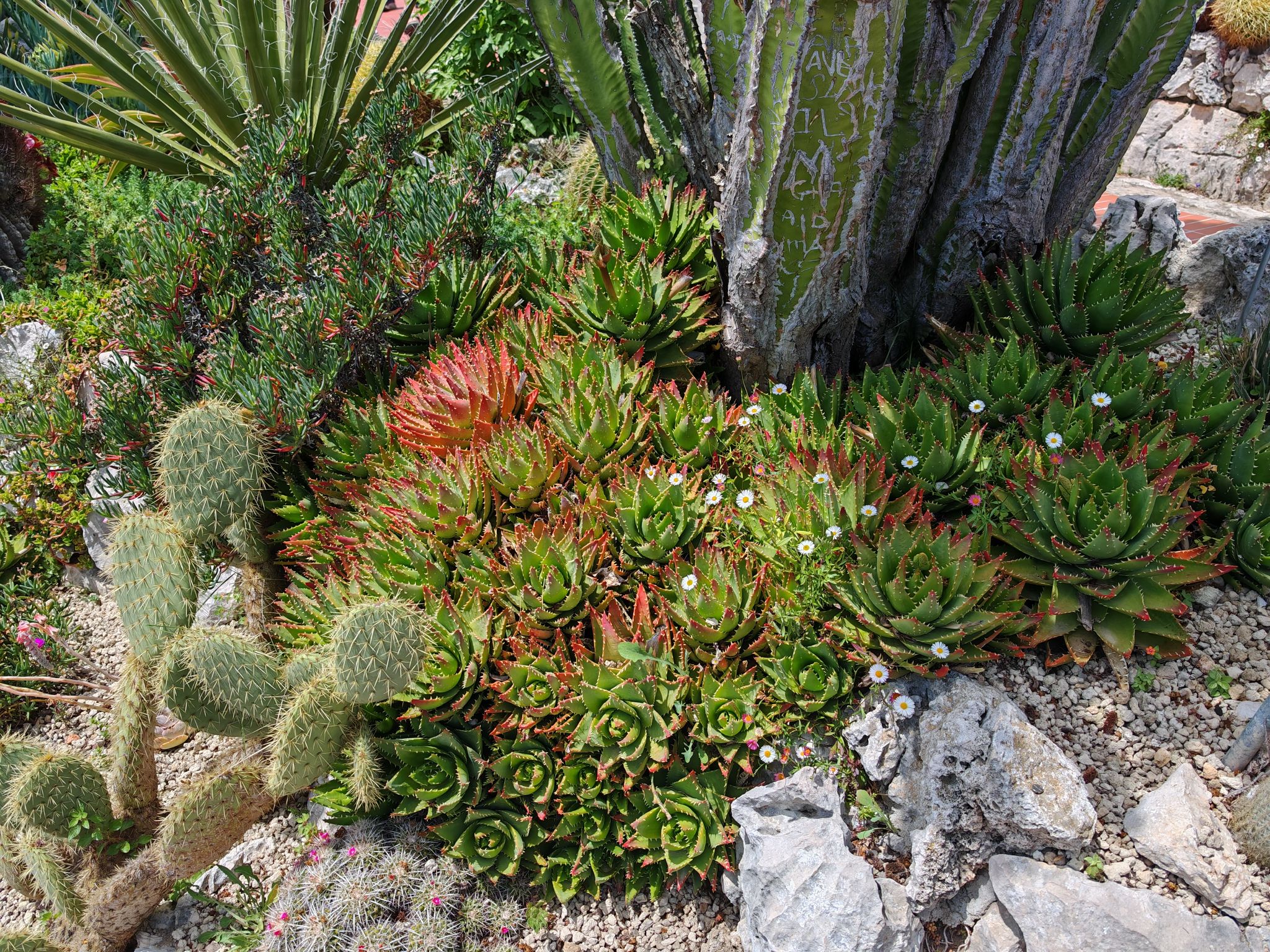 2024 05 19 13.39.53 honor m6p