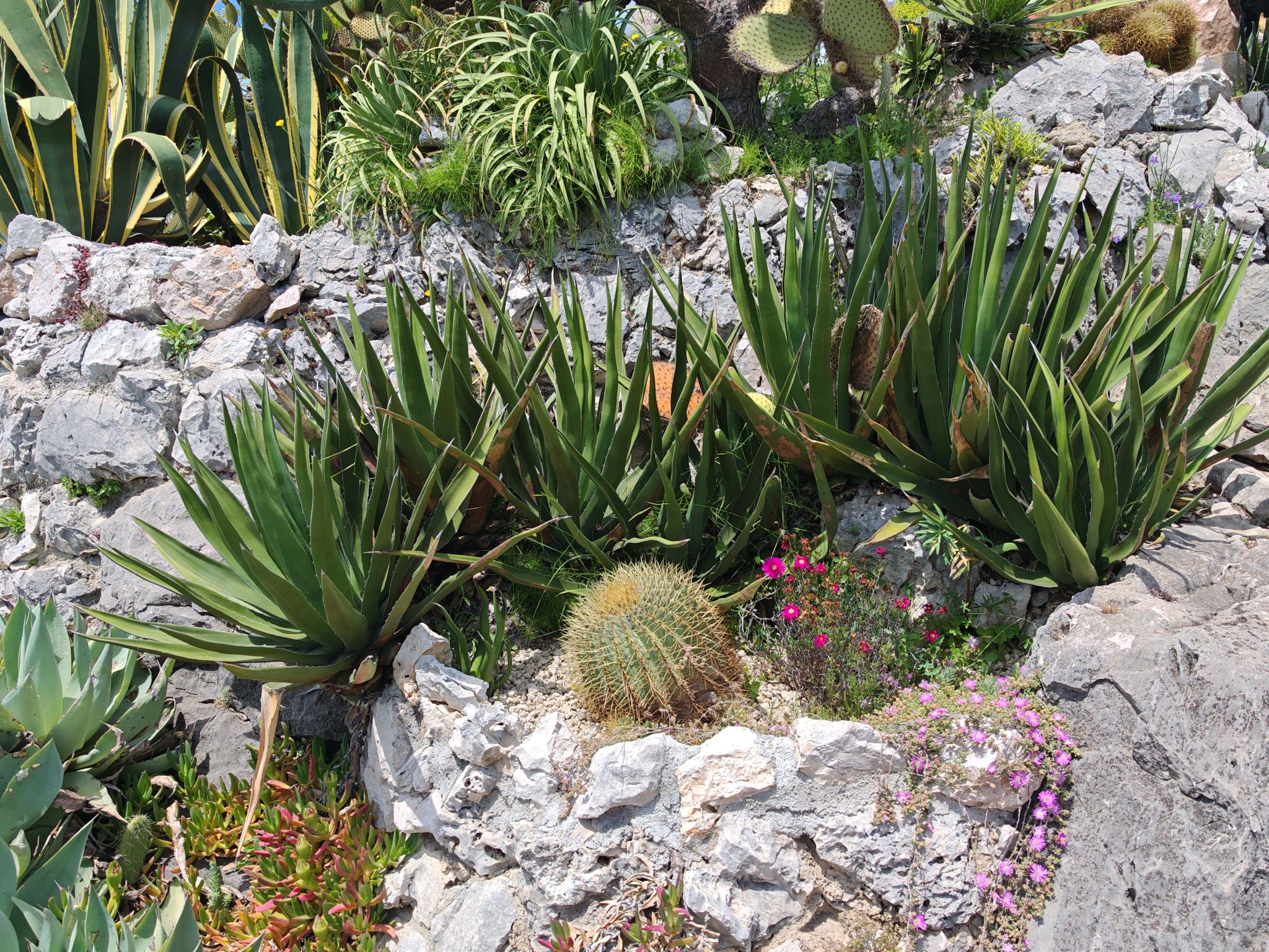 2024 05 19 13.40.21 honor m6p