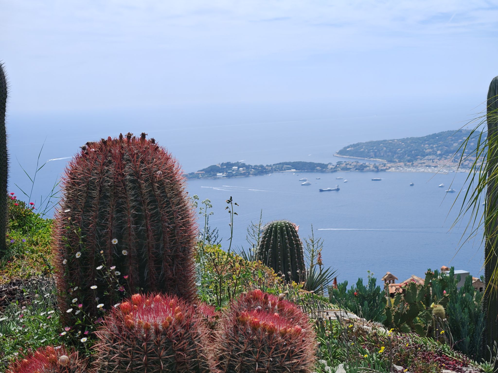 2024 05 19 13.40.37 honor m6p