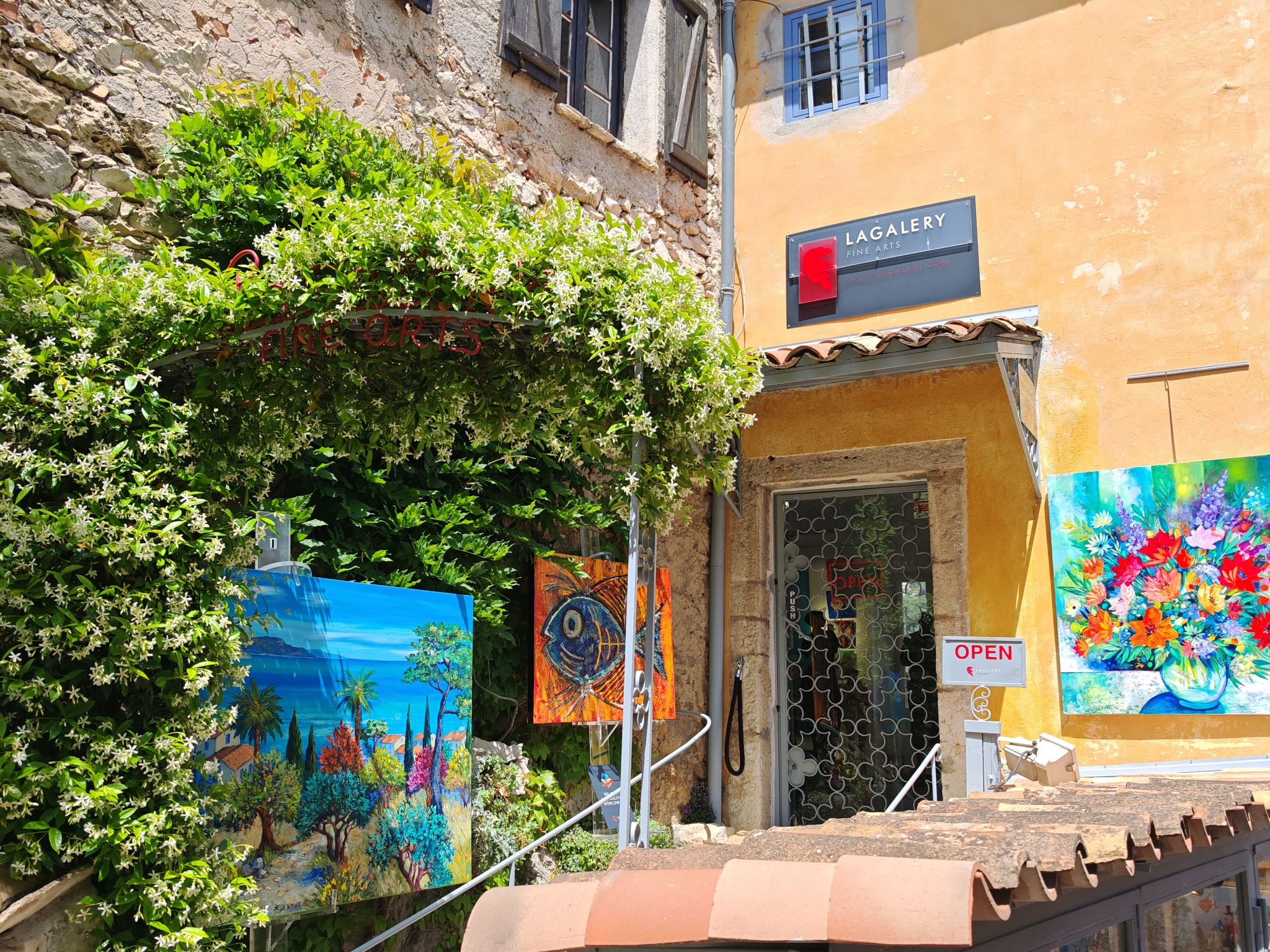 2024 05 19 13.42.16 honor m6p