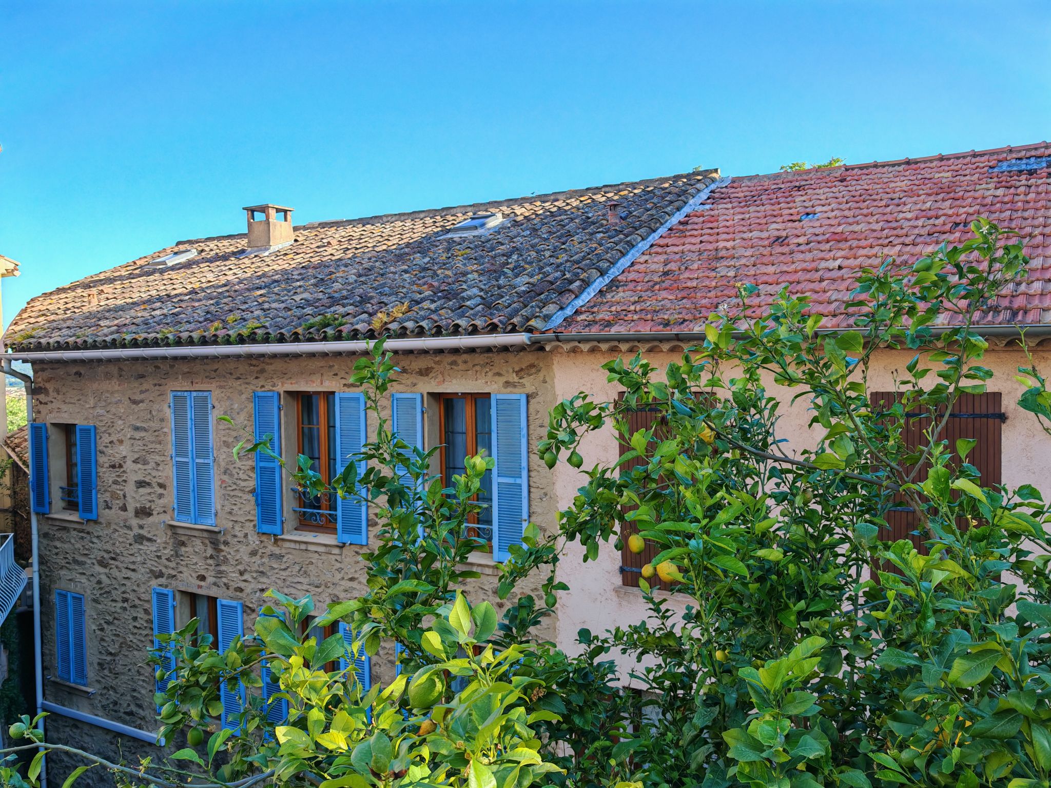 2024 05 16 18.58.52 honor m6p