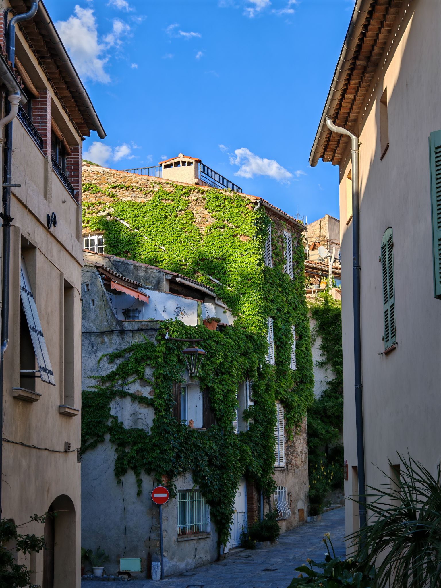 2024 05 16 19.01.39 honor m6p