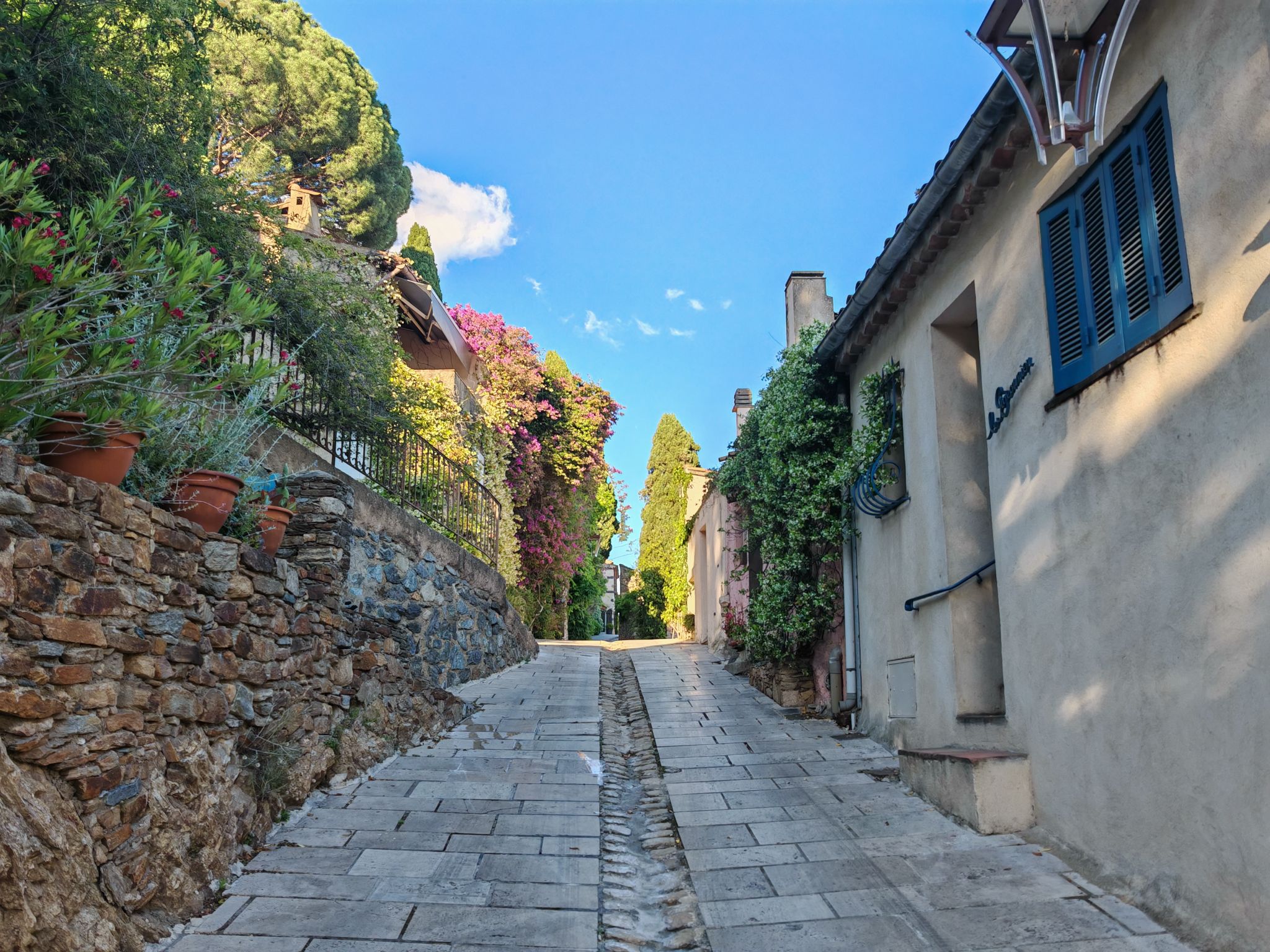 2024 05 16 19.08.21 honor m6p