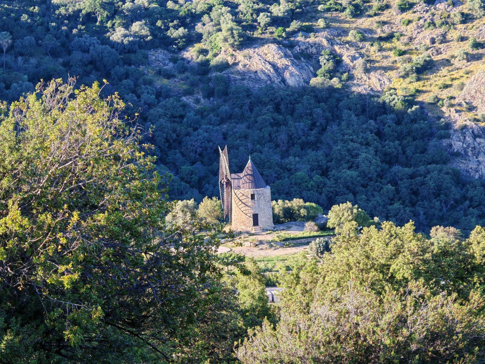 2024 05 16 19.24.21 honor m6p