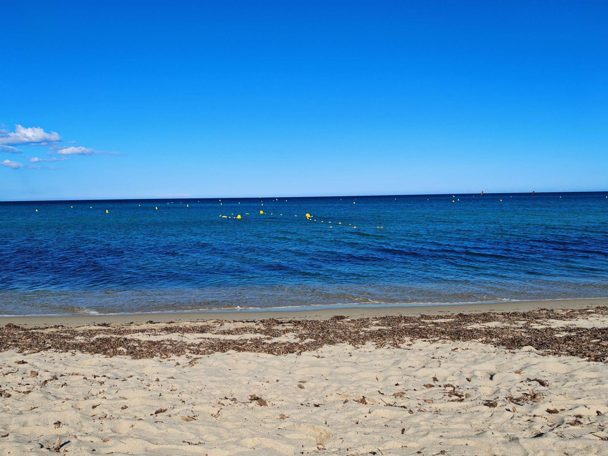 2024 05 16 17.48.59 honor m6p