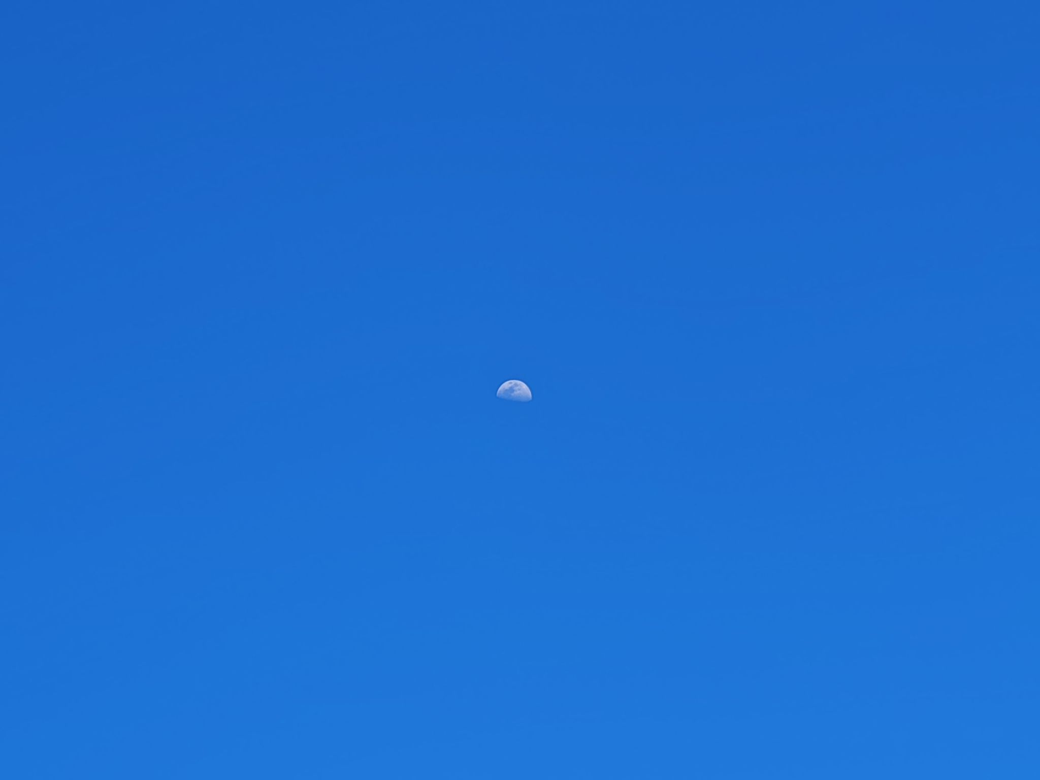 2024 05 16 17.52.05 honor m6p