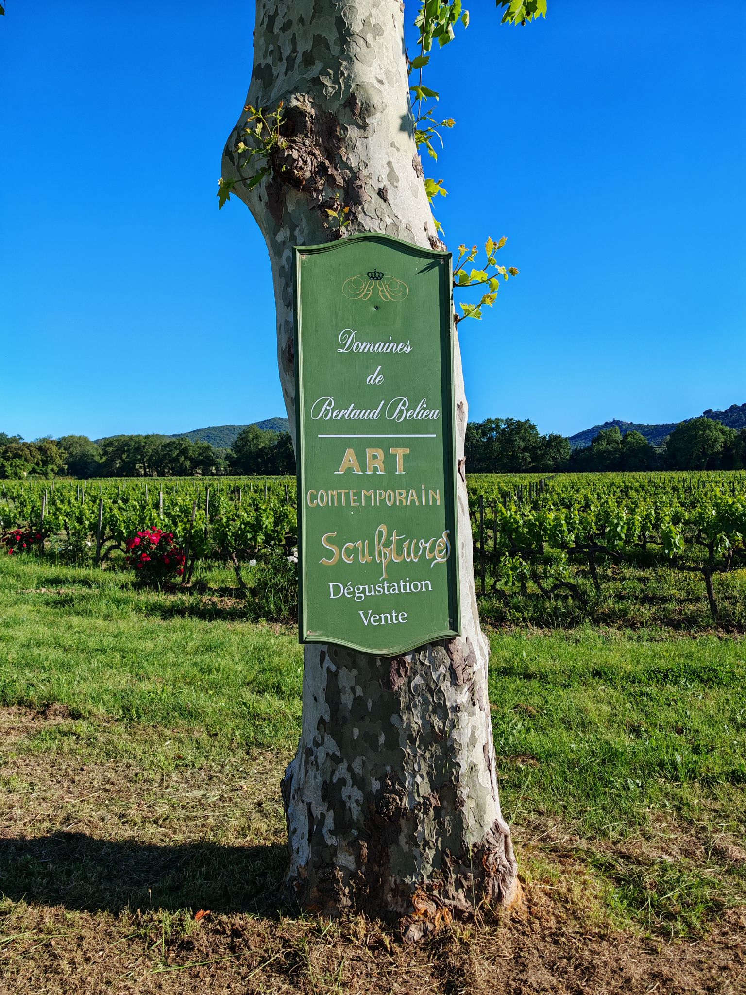 2024 05 16 18.25.32 honor m6p