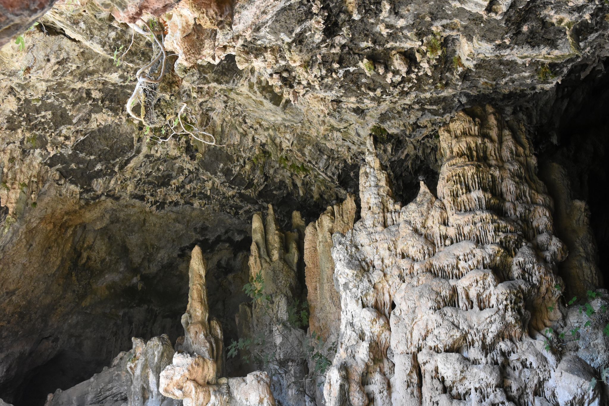 2023 08 22 09.17.03 nikon d7200