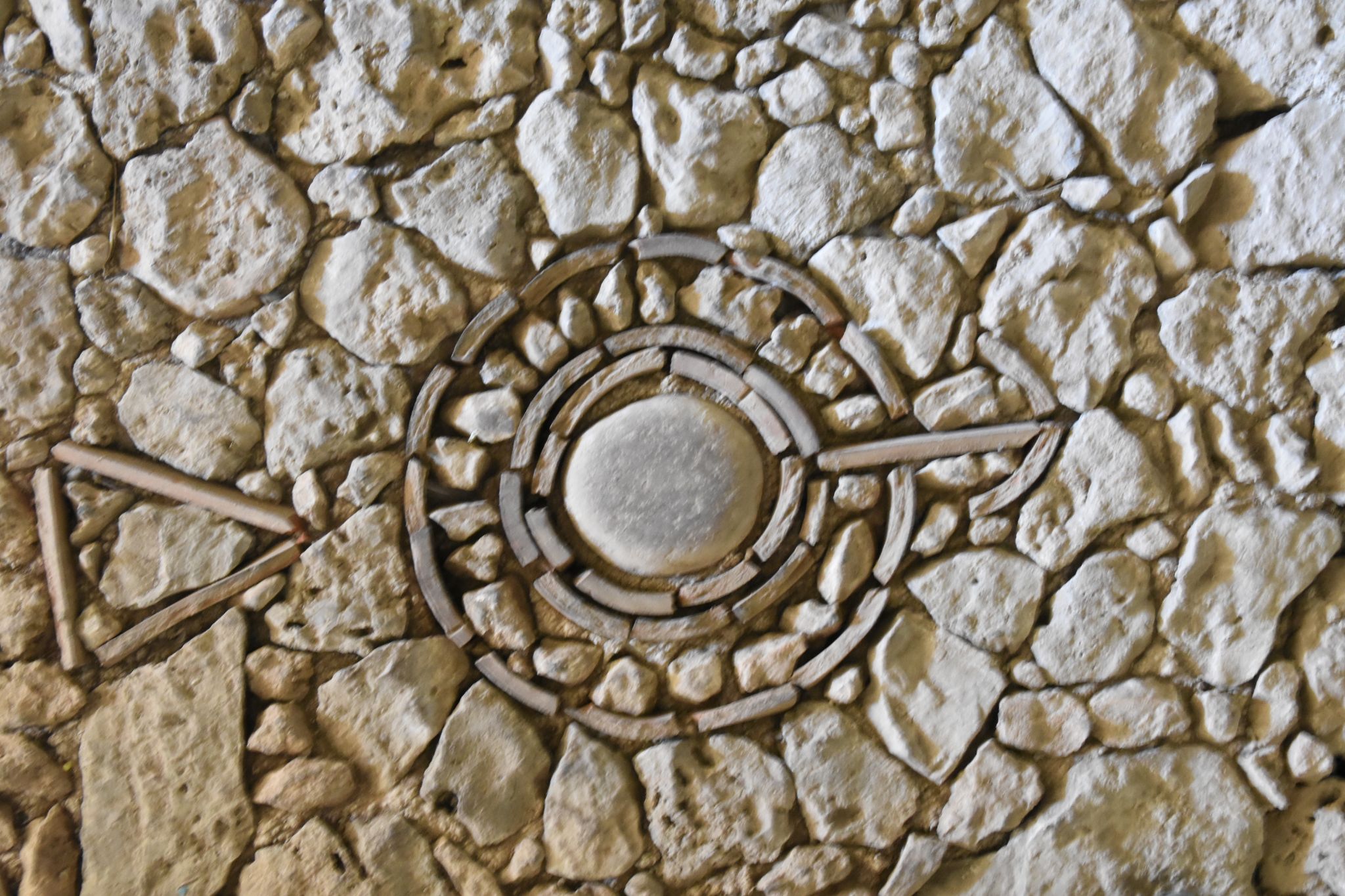 2023 08 22 09.33.35 nikon d7200