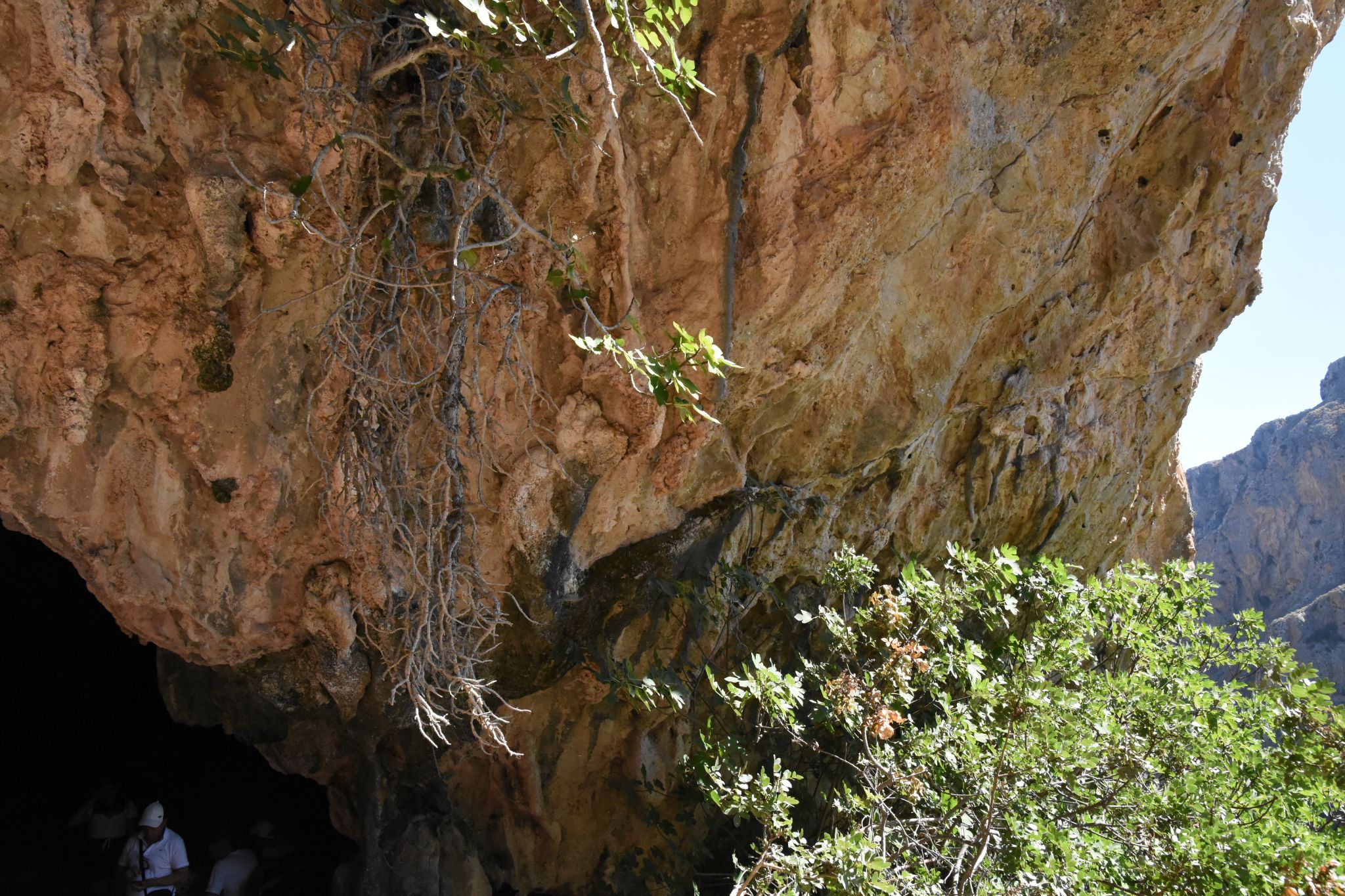 2023 08 22 09.39.33 nikon d7200