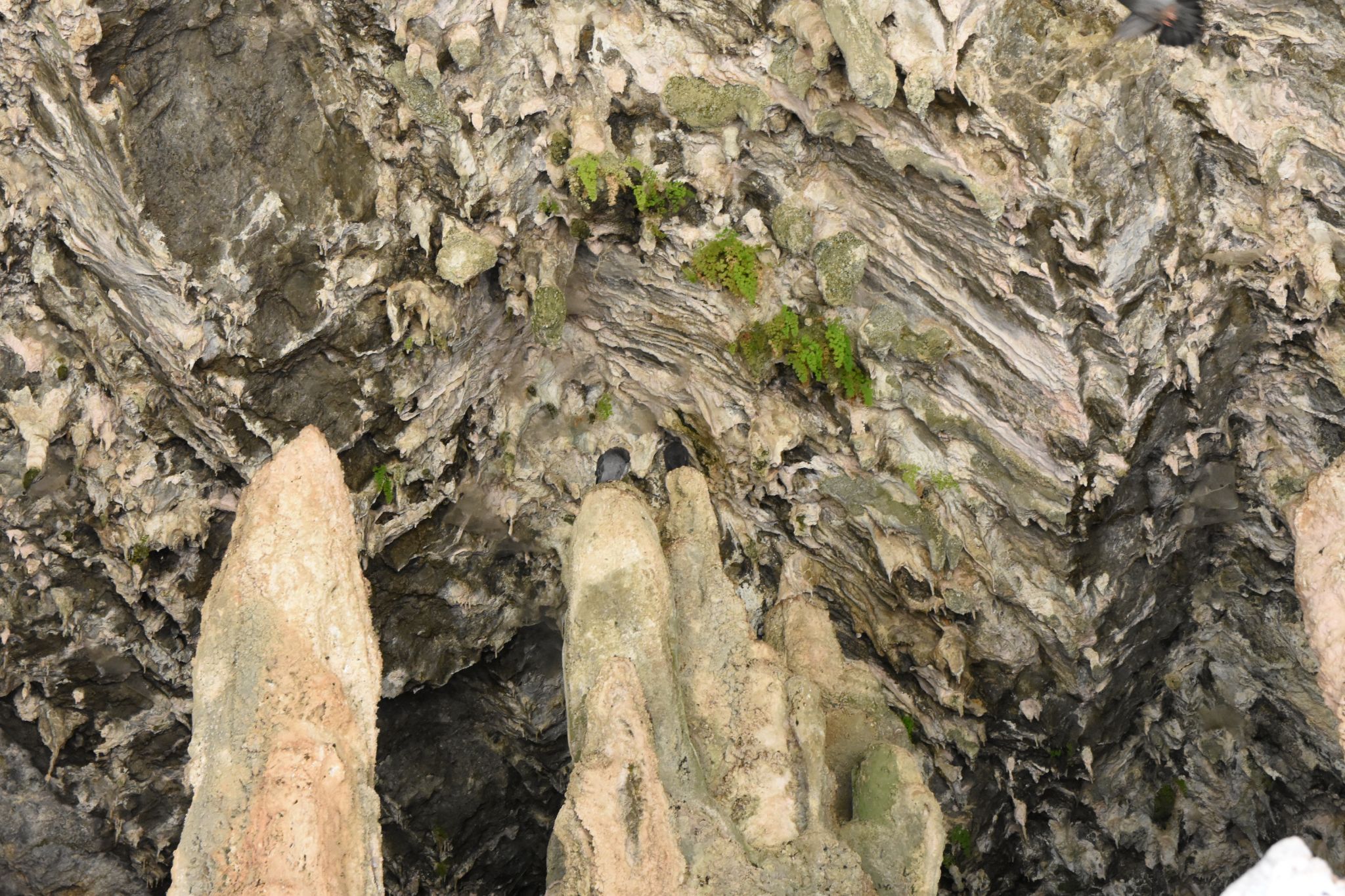 2023 08 22 09.41.25 nikon d7200