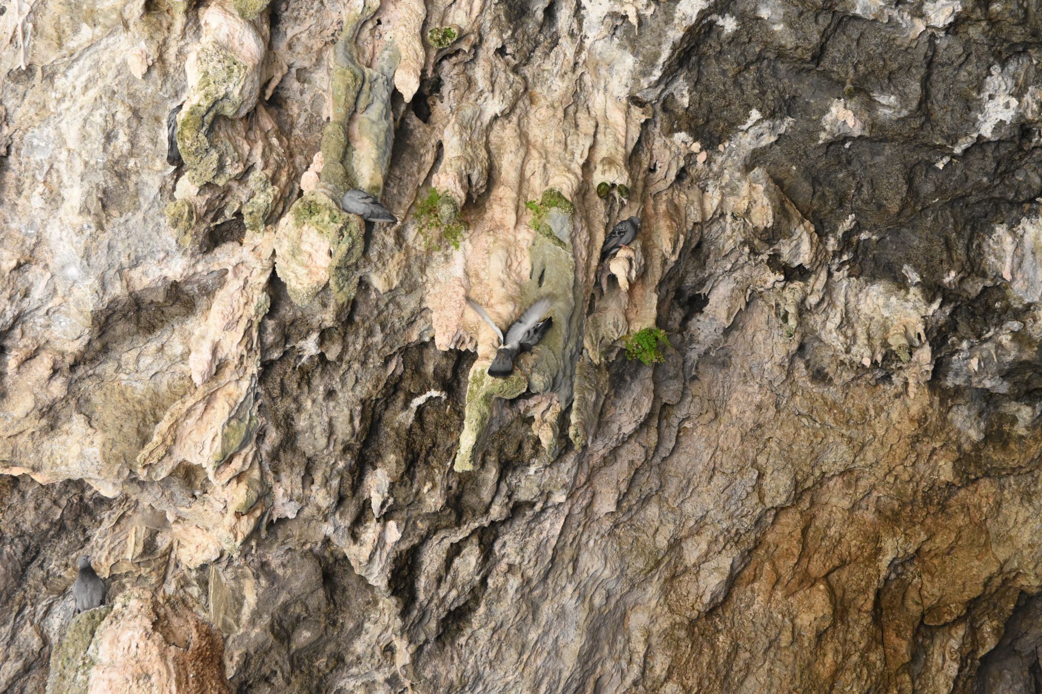 2023 08 22 09.41.30 nikon d7200