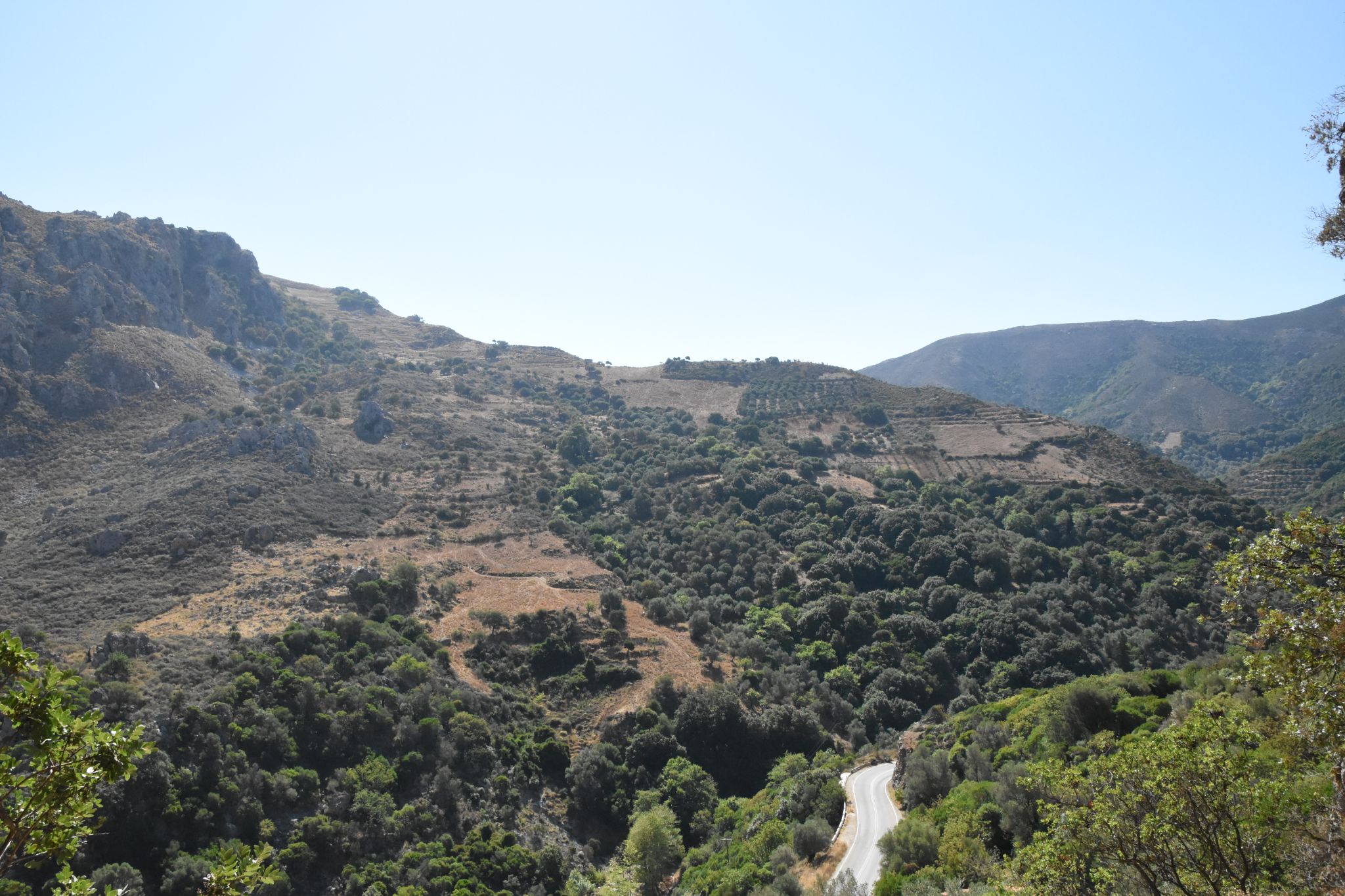 2023 08 22 09.43.33 nikon d7200