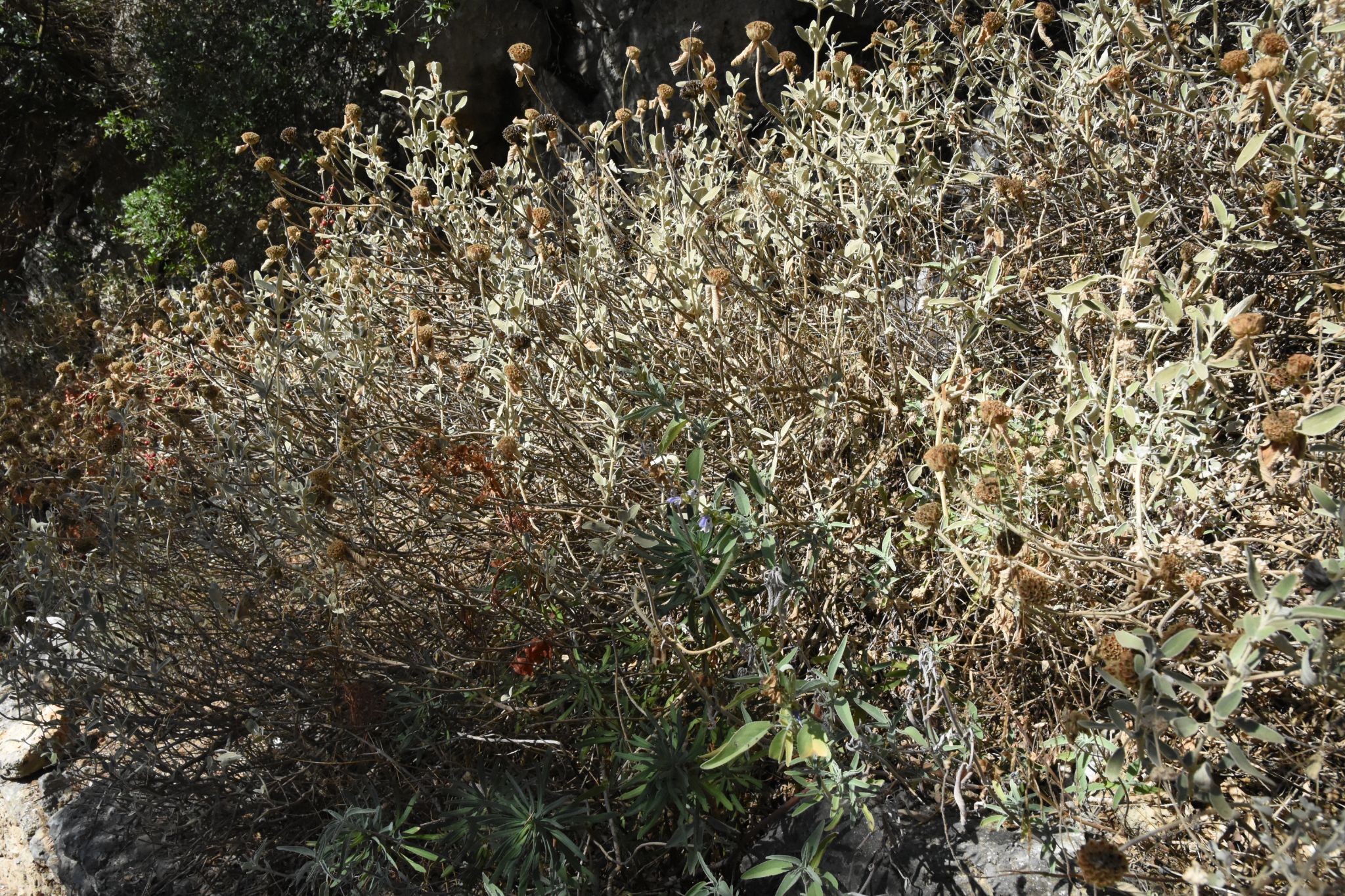 2023 08 22 09.47.37 nikon d7200