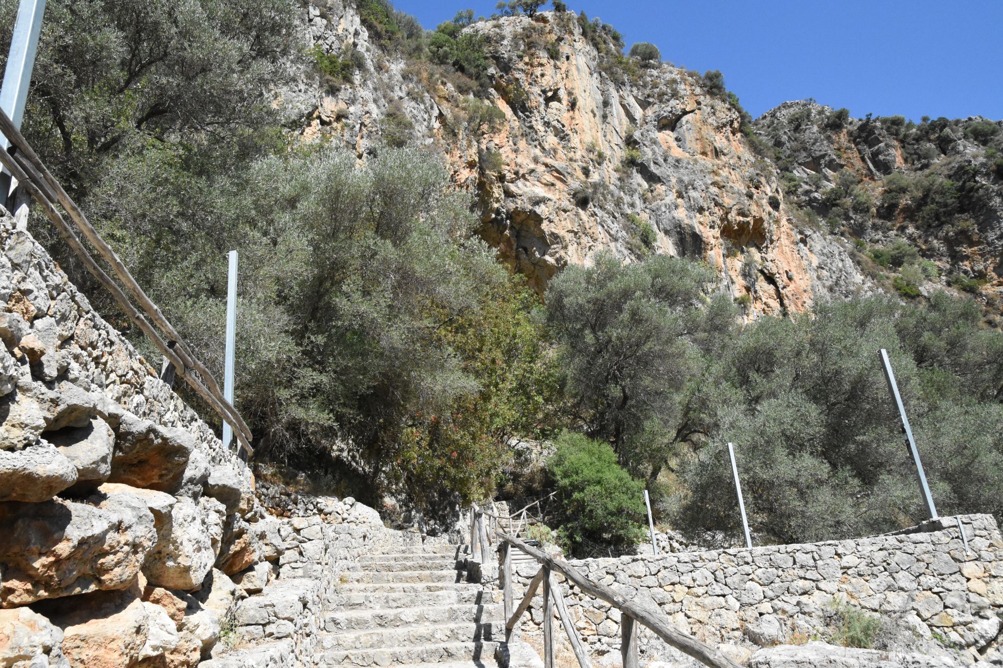 2023 08 22 09.49.32 nikon d7200