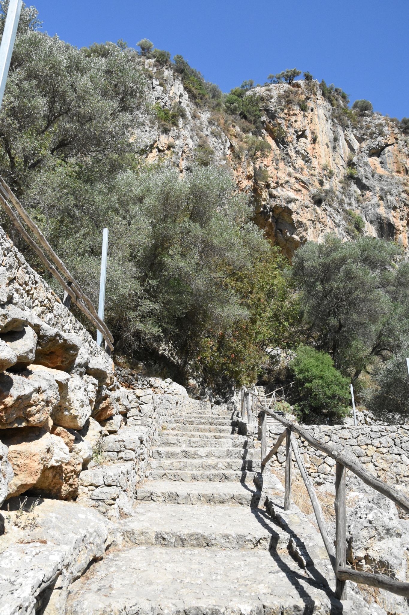 2023 08 22 09.49.37 nikon d7200