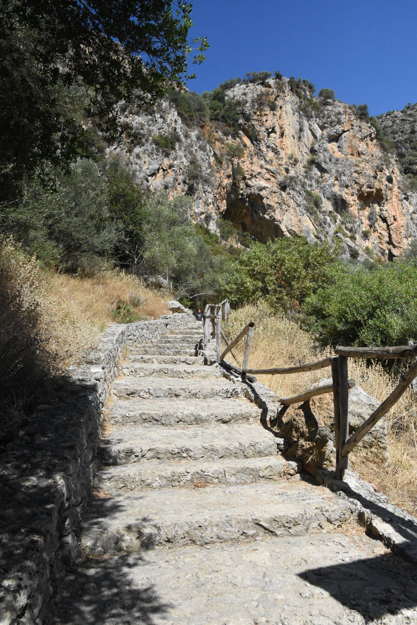 2023 08 22 09.50.28 nikon d7200