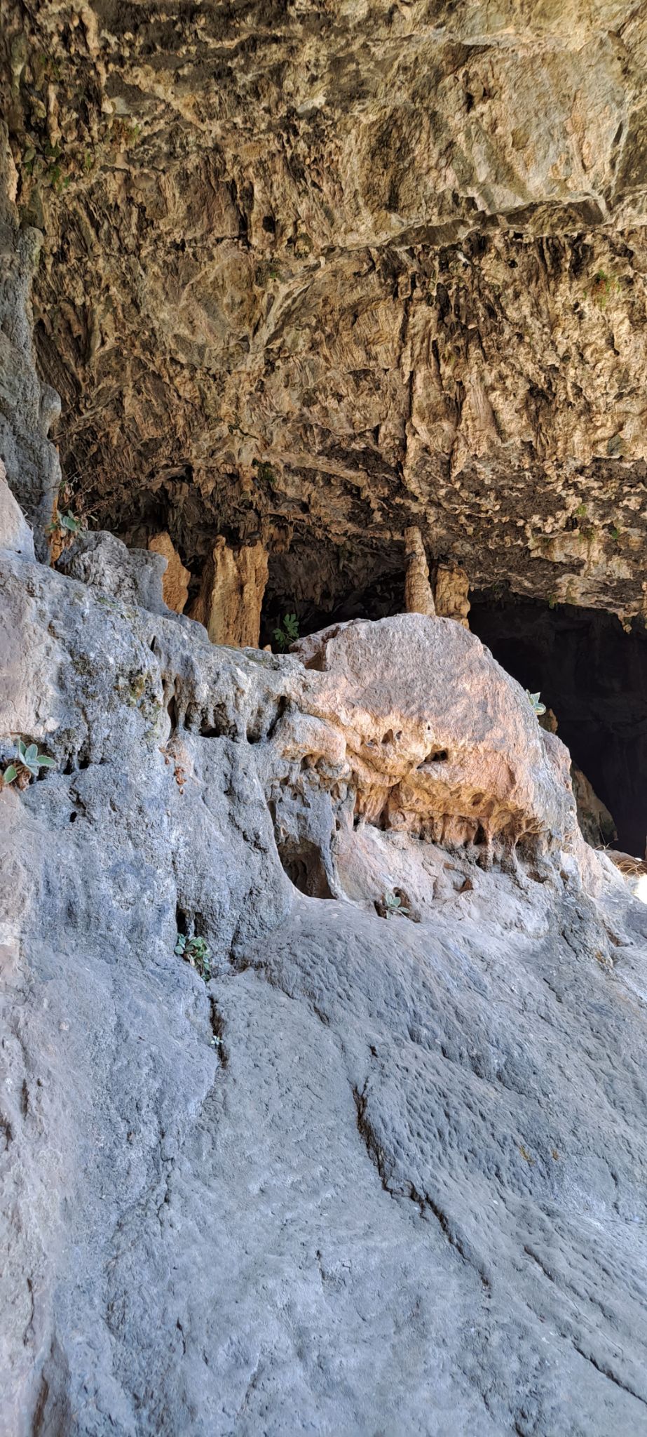 2023 08 22 10.19.10 samsung a53