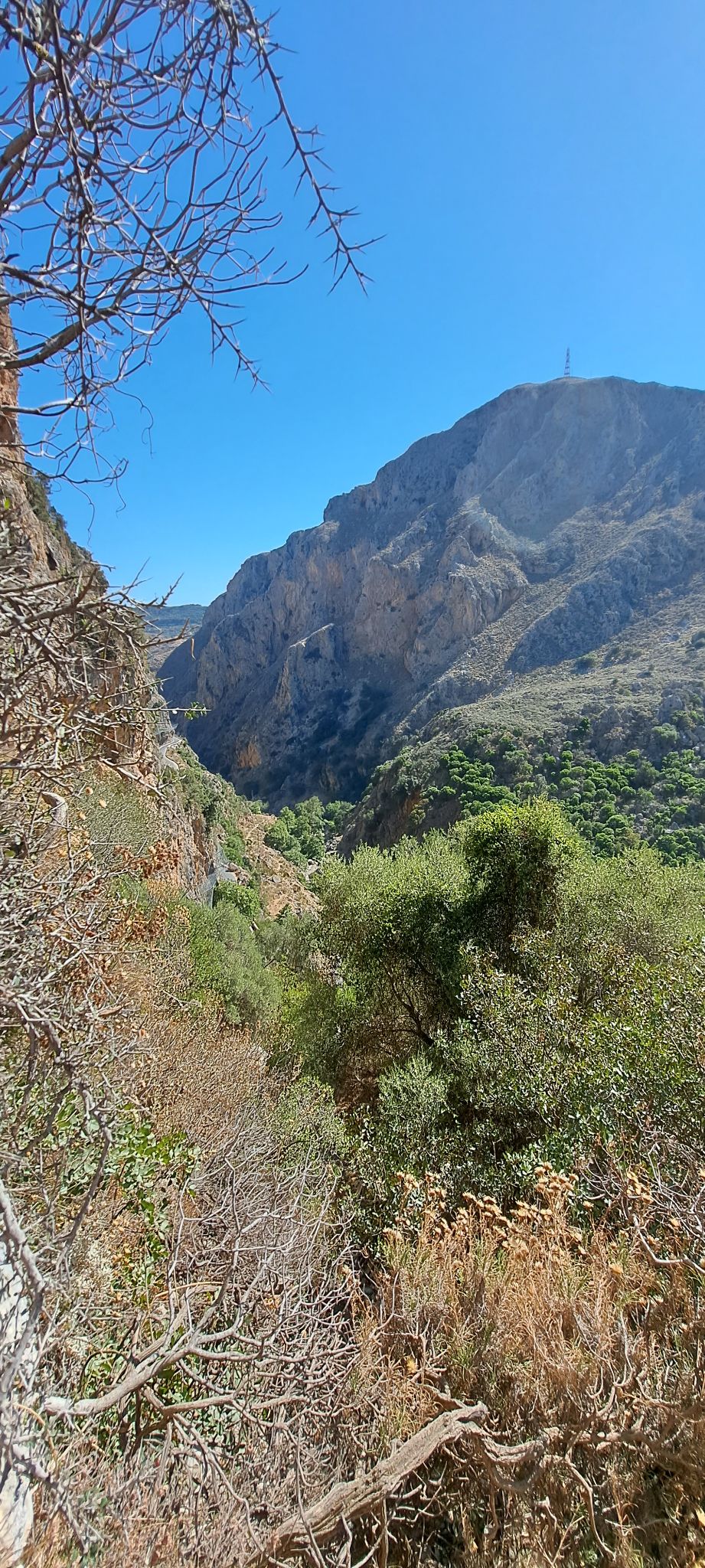 2023 08 22 10.44.52 samsung a53