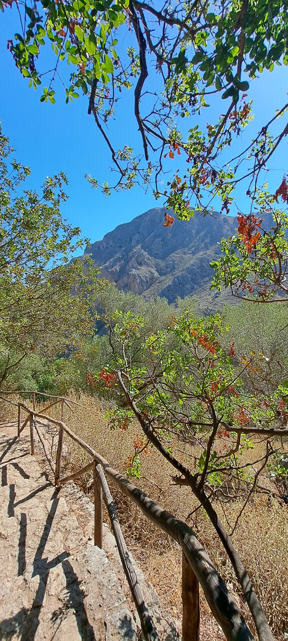 2023 08 22 10.46.45 samsung a53