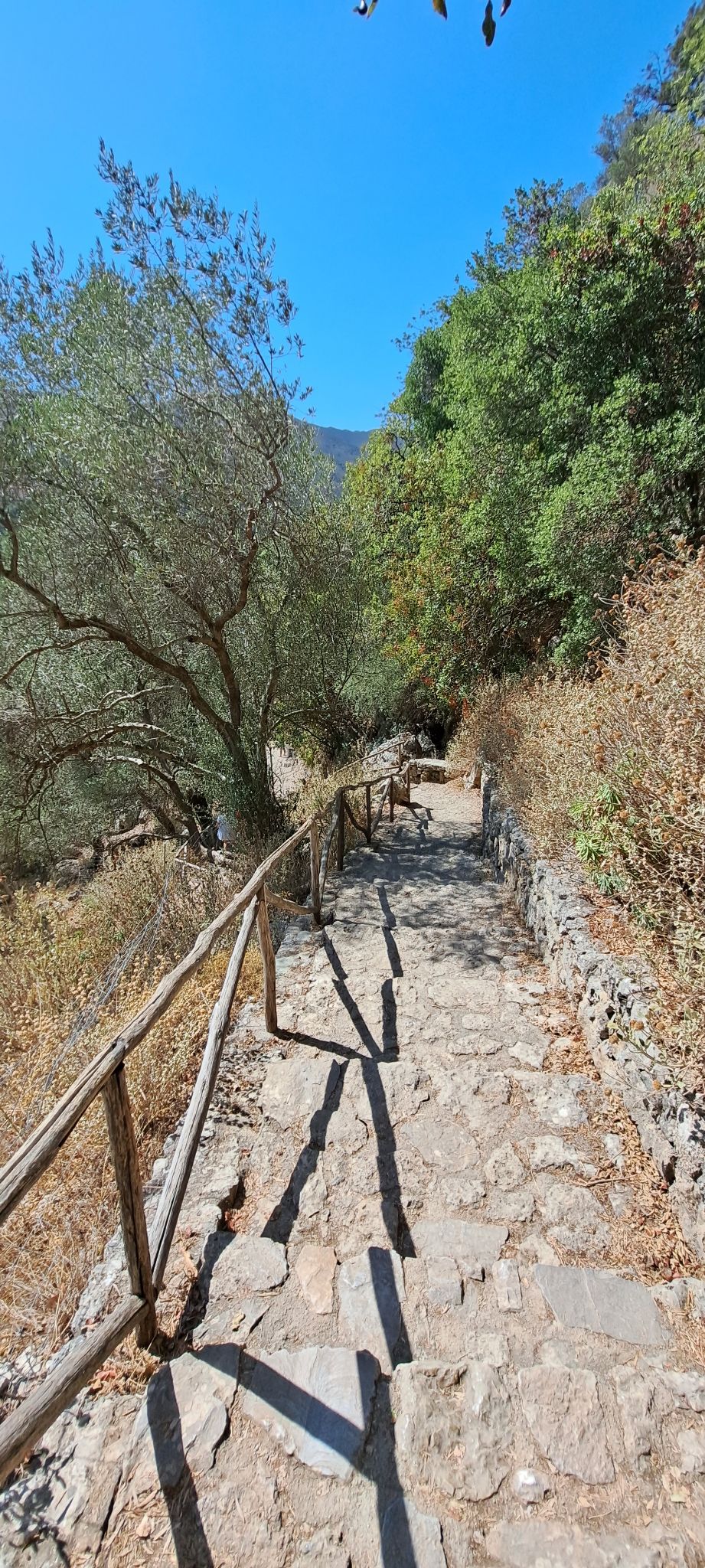 2023 08 22 10.47.23 samsung a53