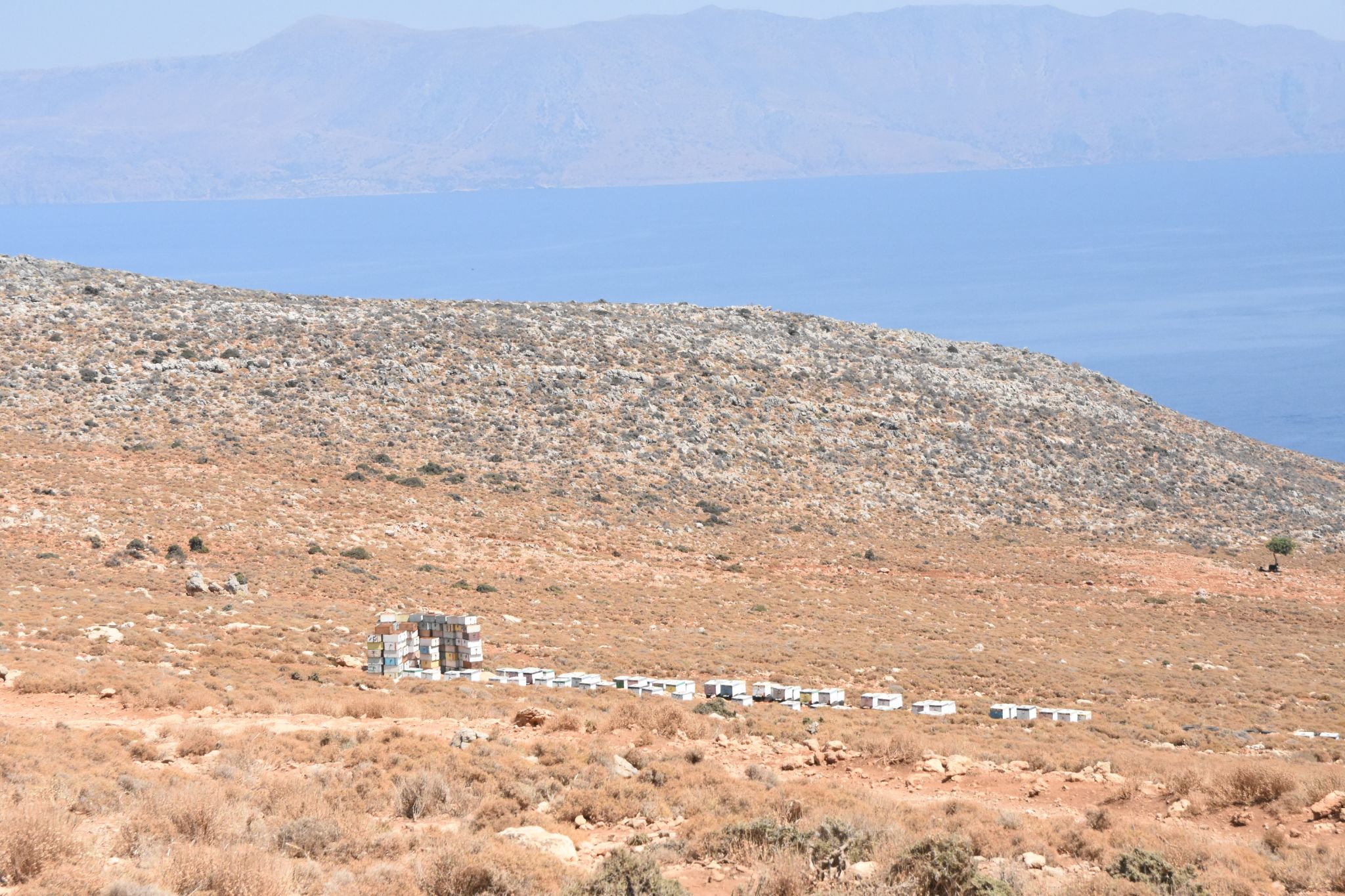 2023 08 24 12.55.34 nikon d7200