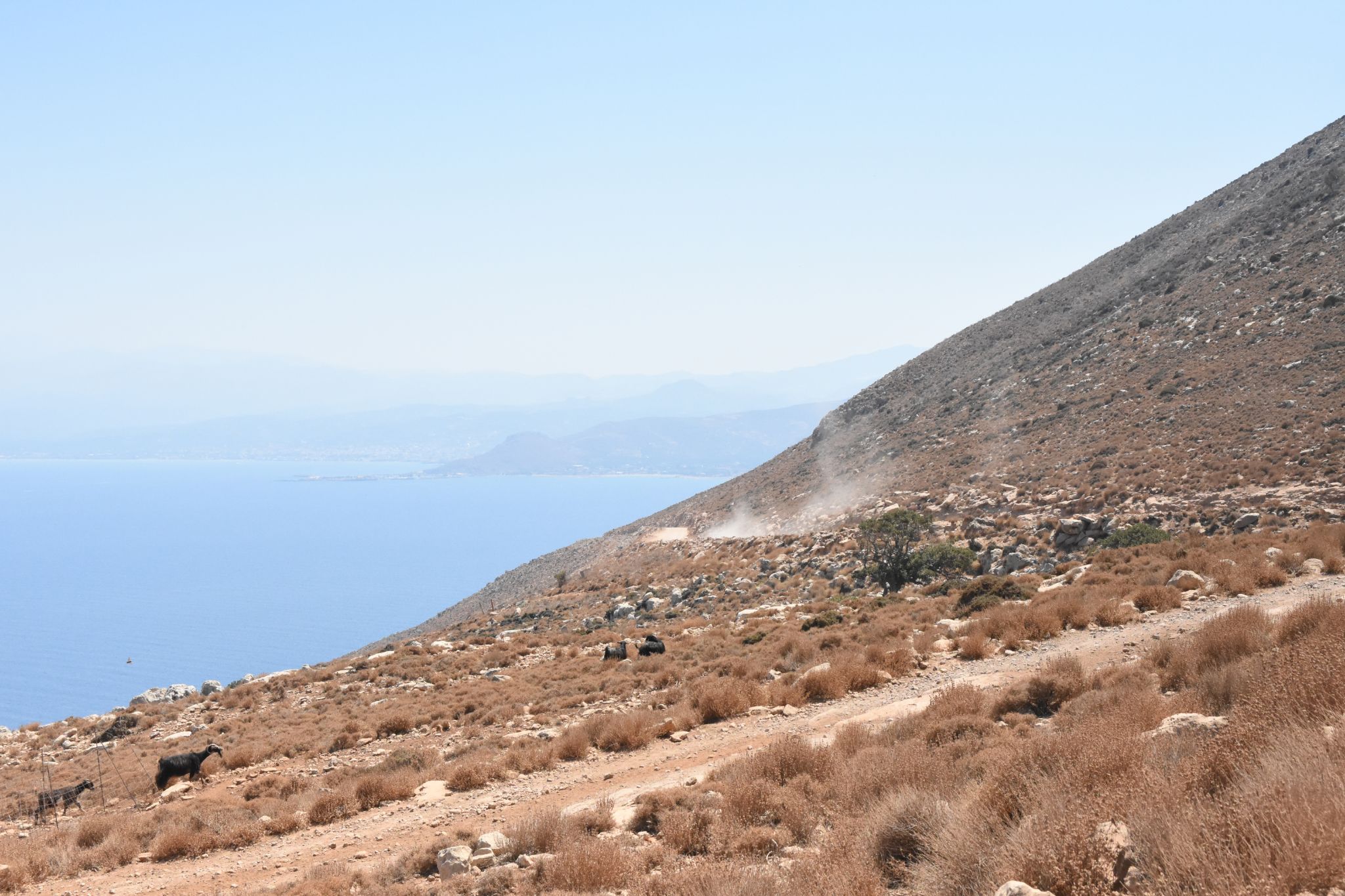 2023 08 24 12.55.54 nikon d7200